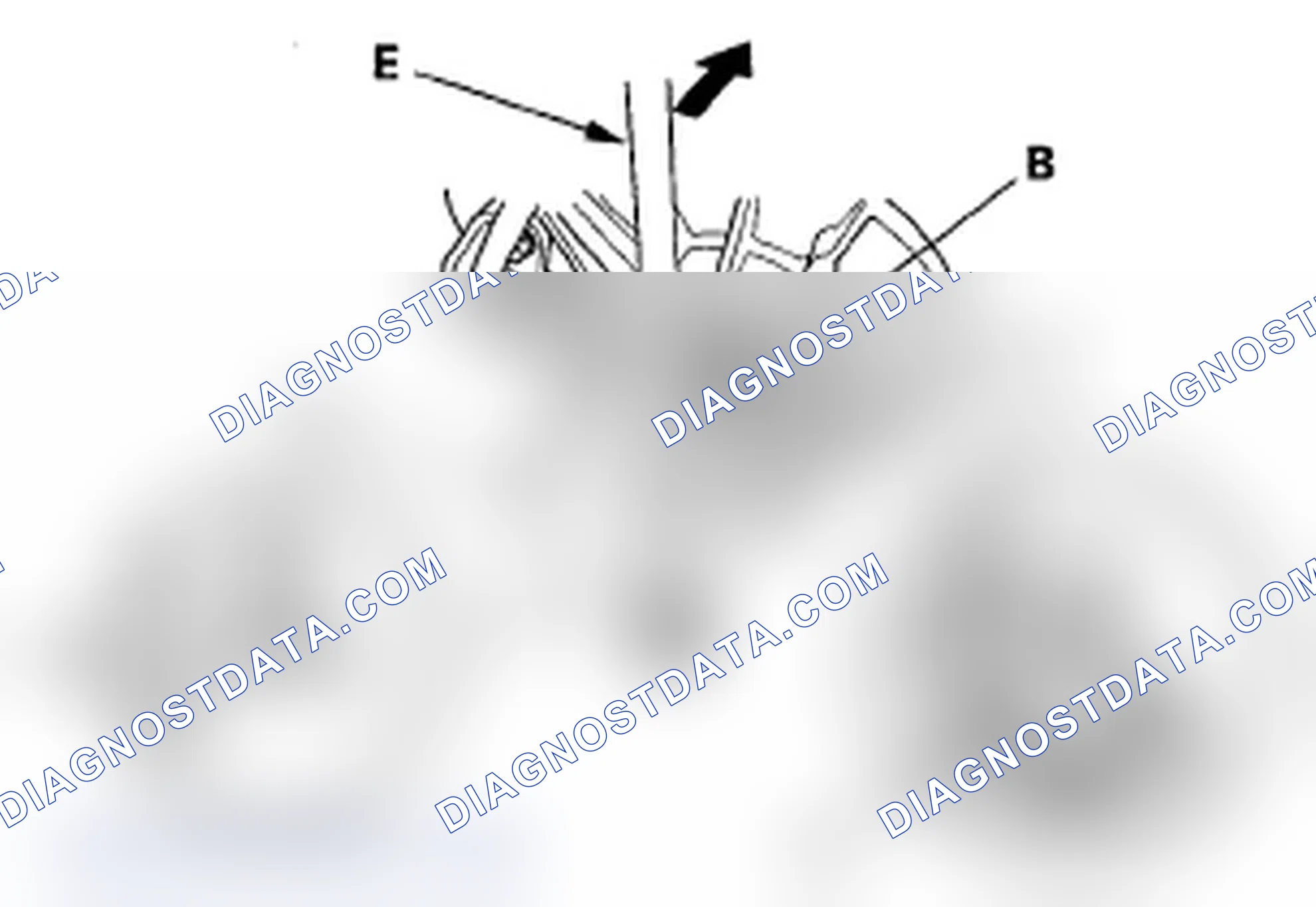 Scheme 142