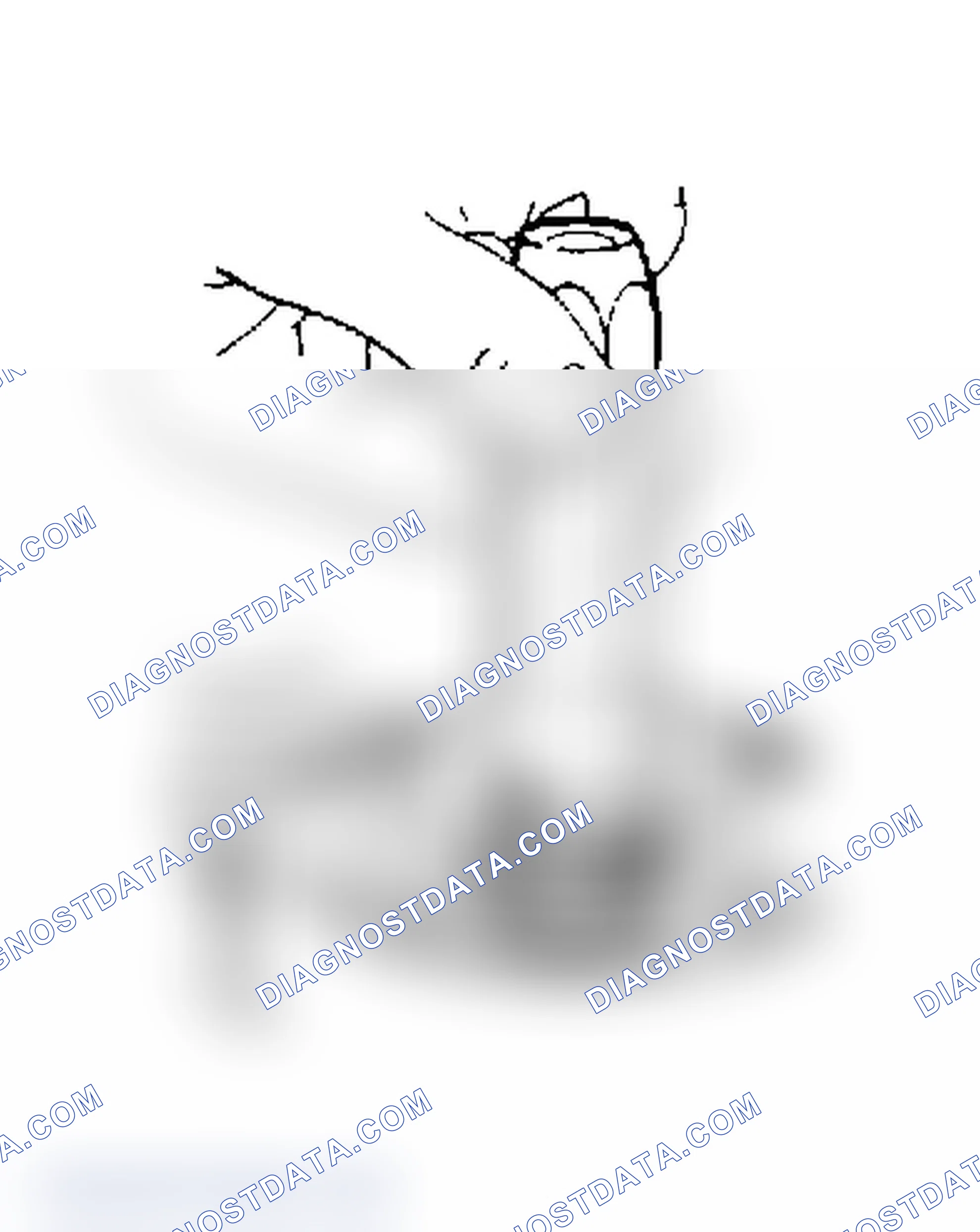 Scheme 8: Installing Shaft Seal