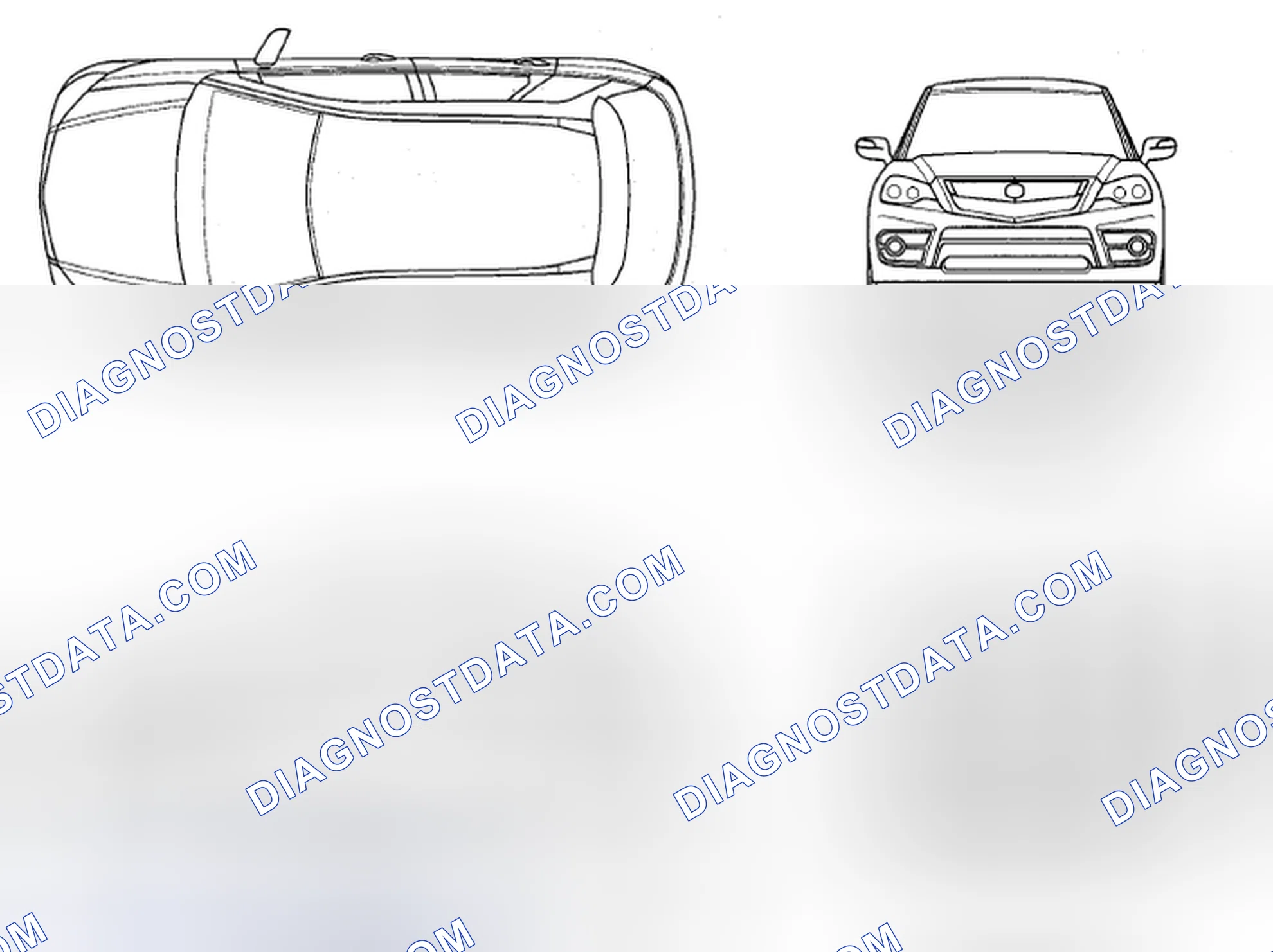 Scheme 1: Body Specifications