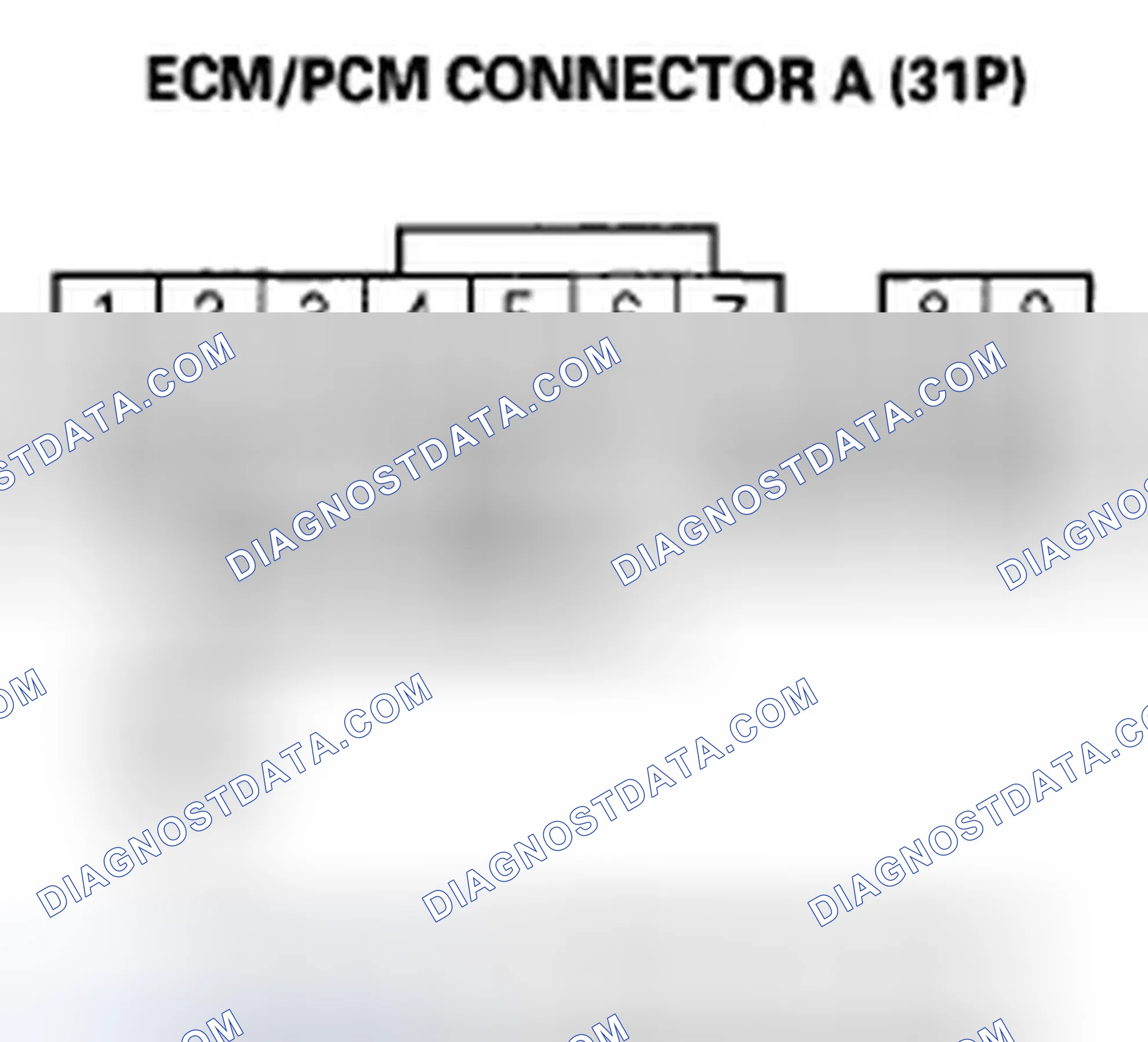 Scheme 383
