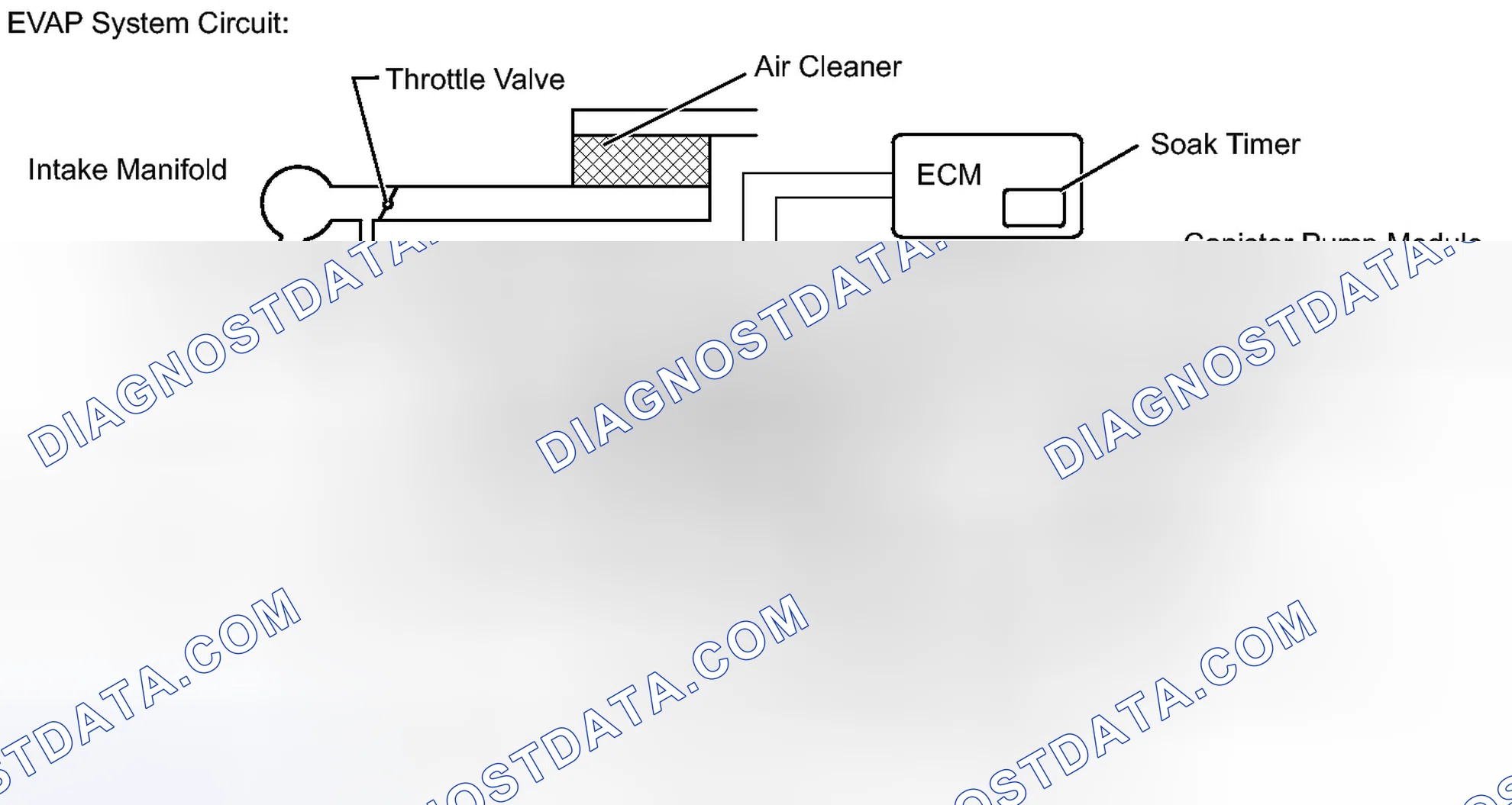 Scheme 51