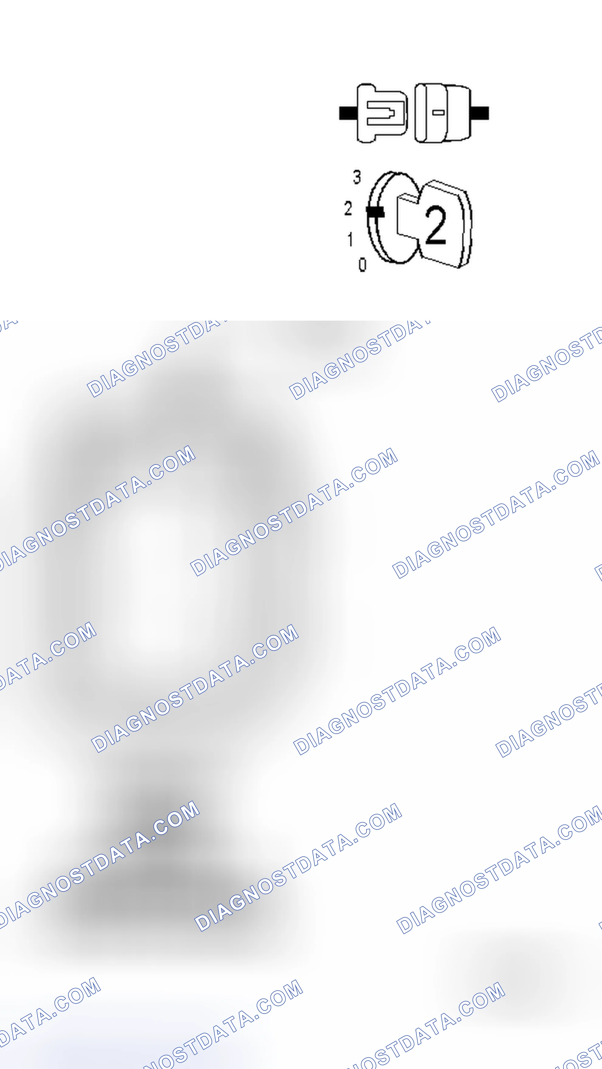 Scheme 12: Diagnostic Test