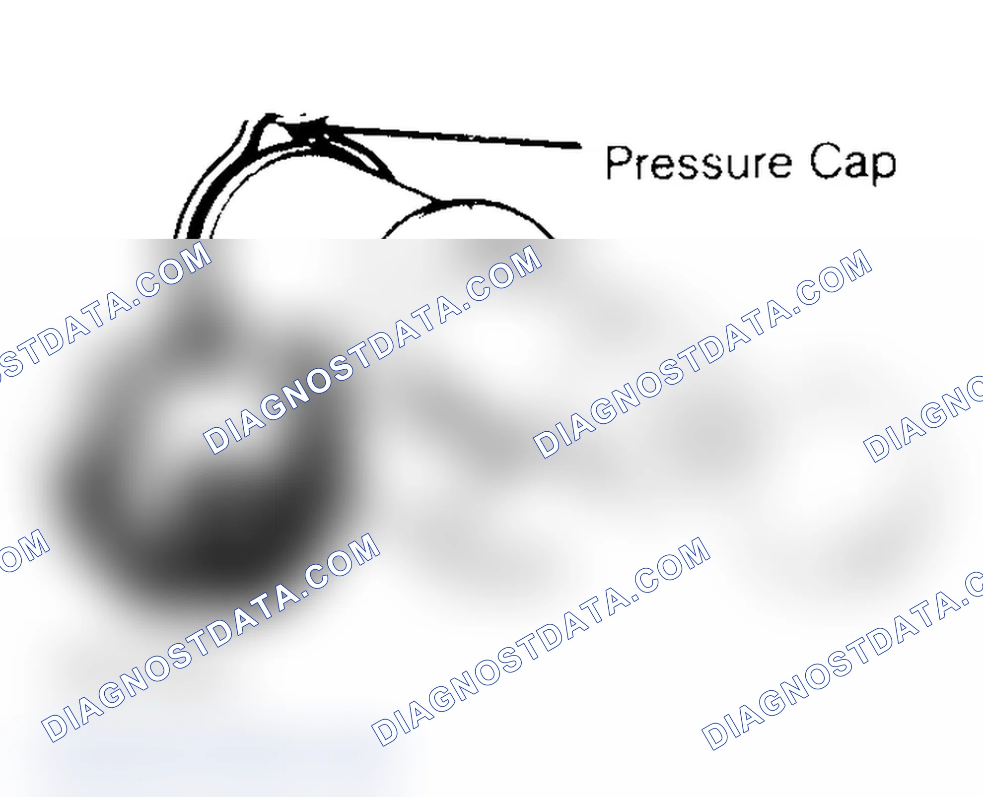 Scheme 2: Pressure Testing Radiator Cap