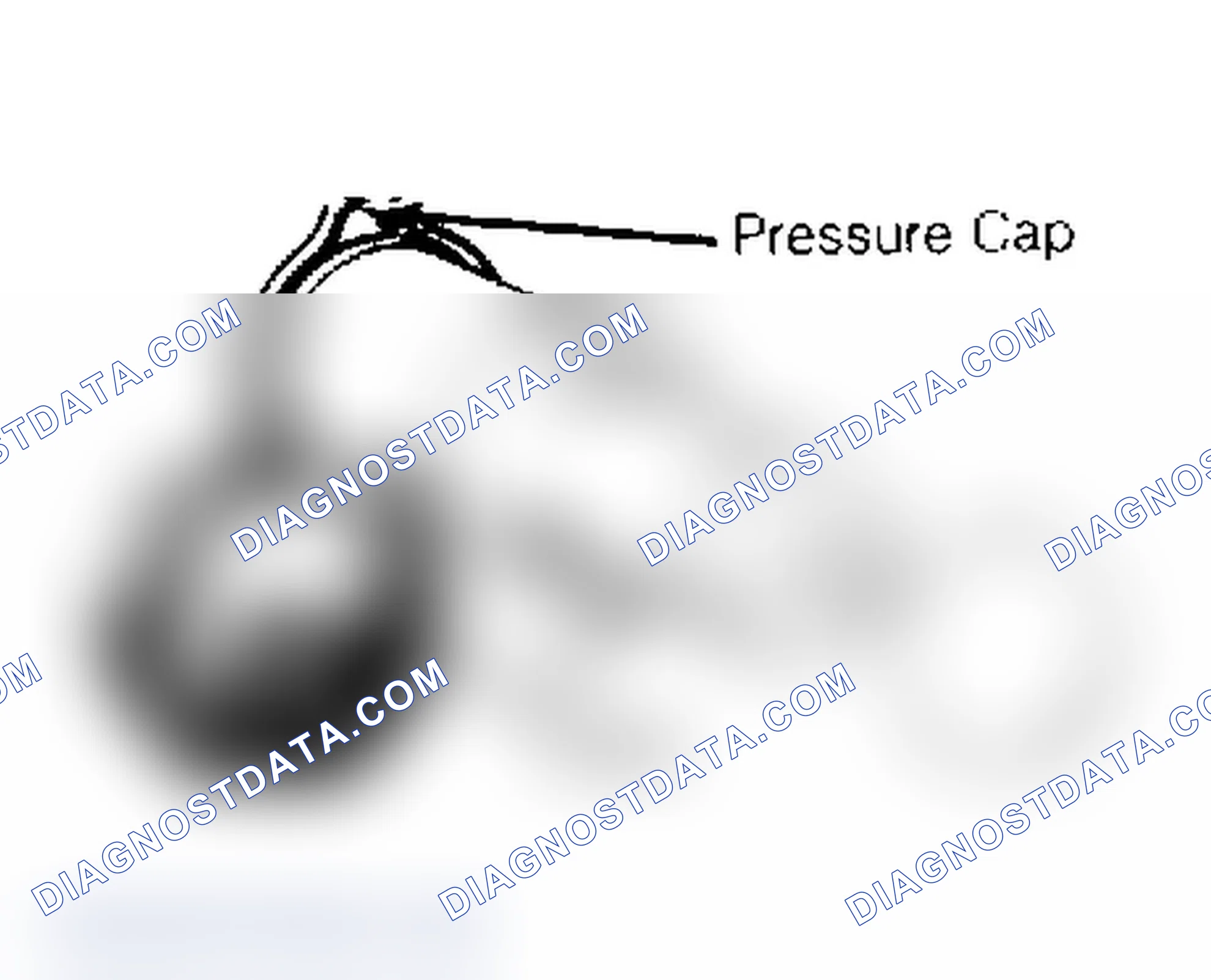 Scheme 2: RADIATOR CAP