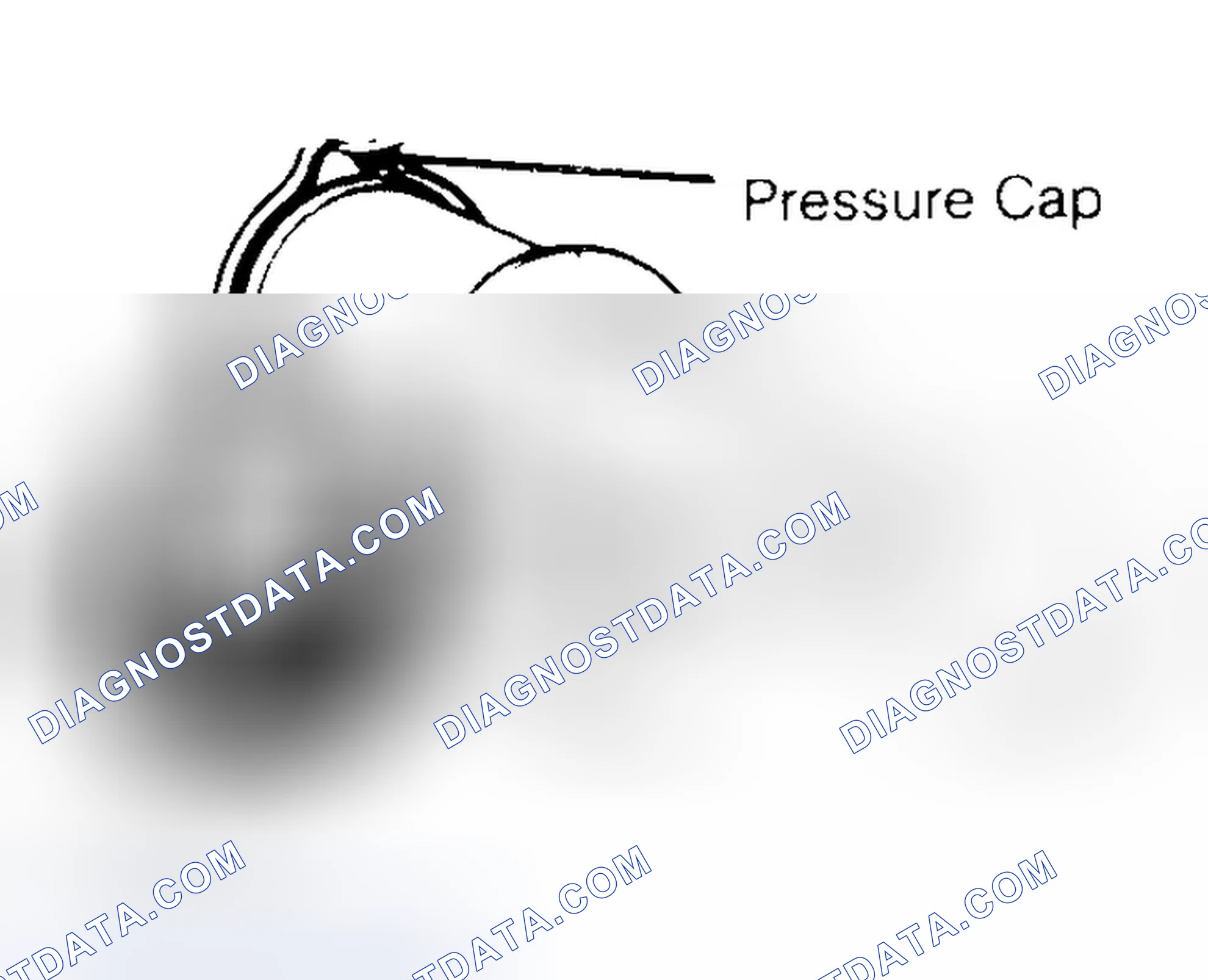 Scheme 2: Pressure Testing Radiator Cap