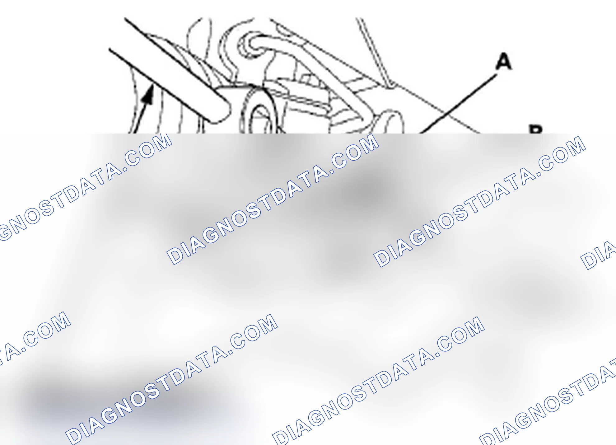 Scheme 23: Rack Guide Adjustment