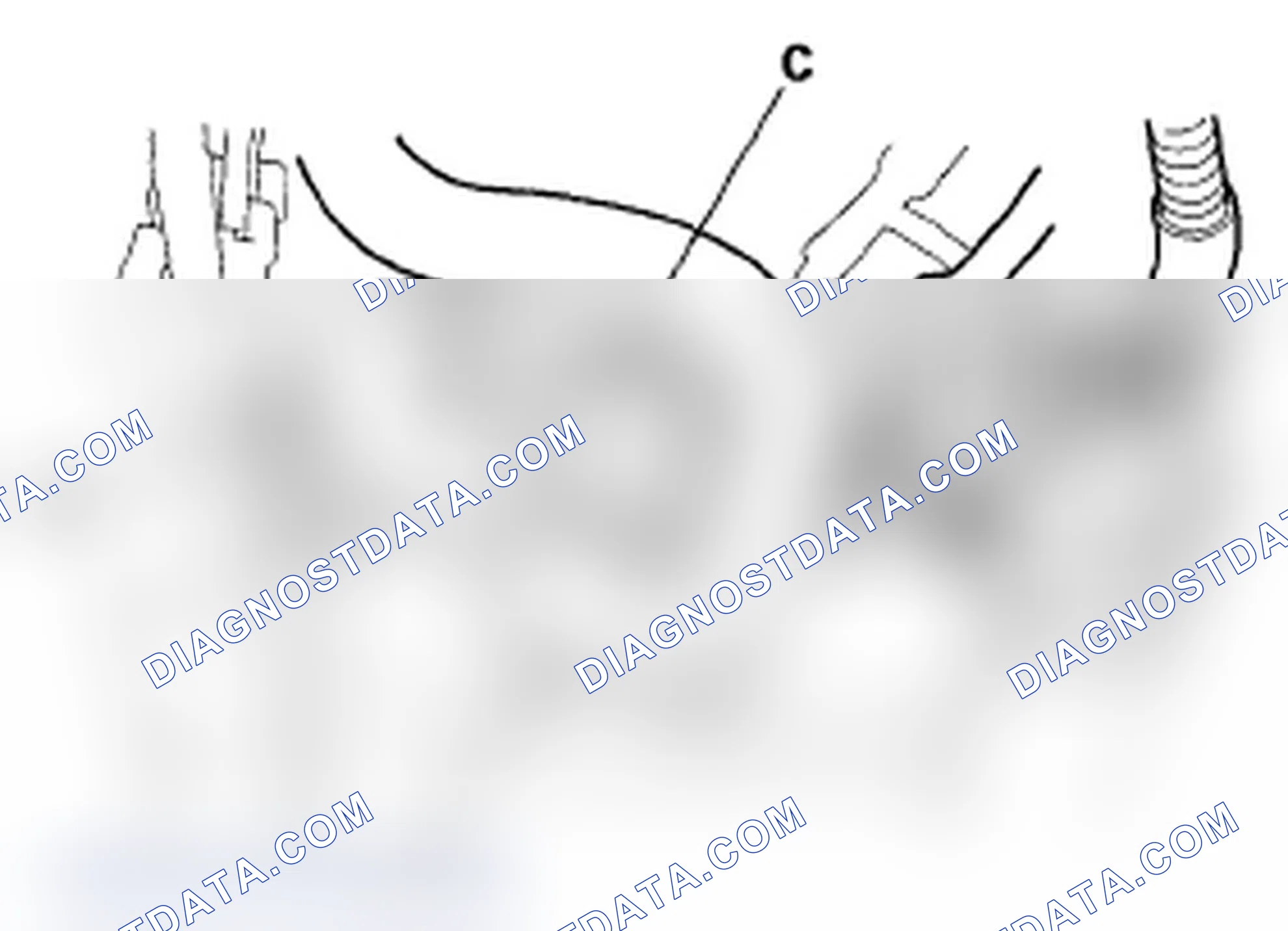 Scheme 117