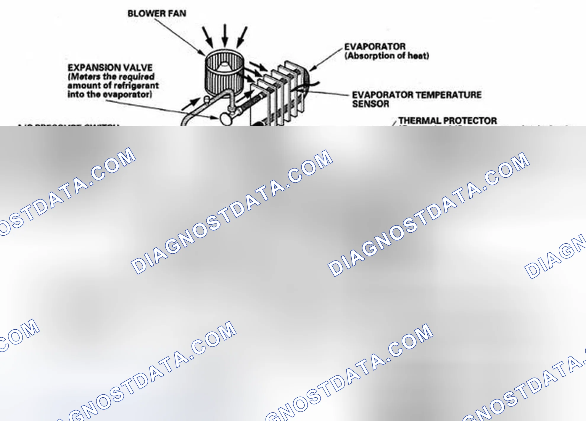 Scheme 5: System Description