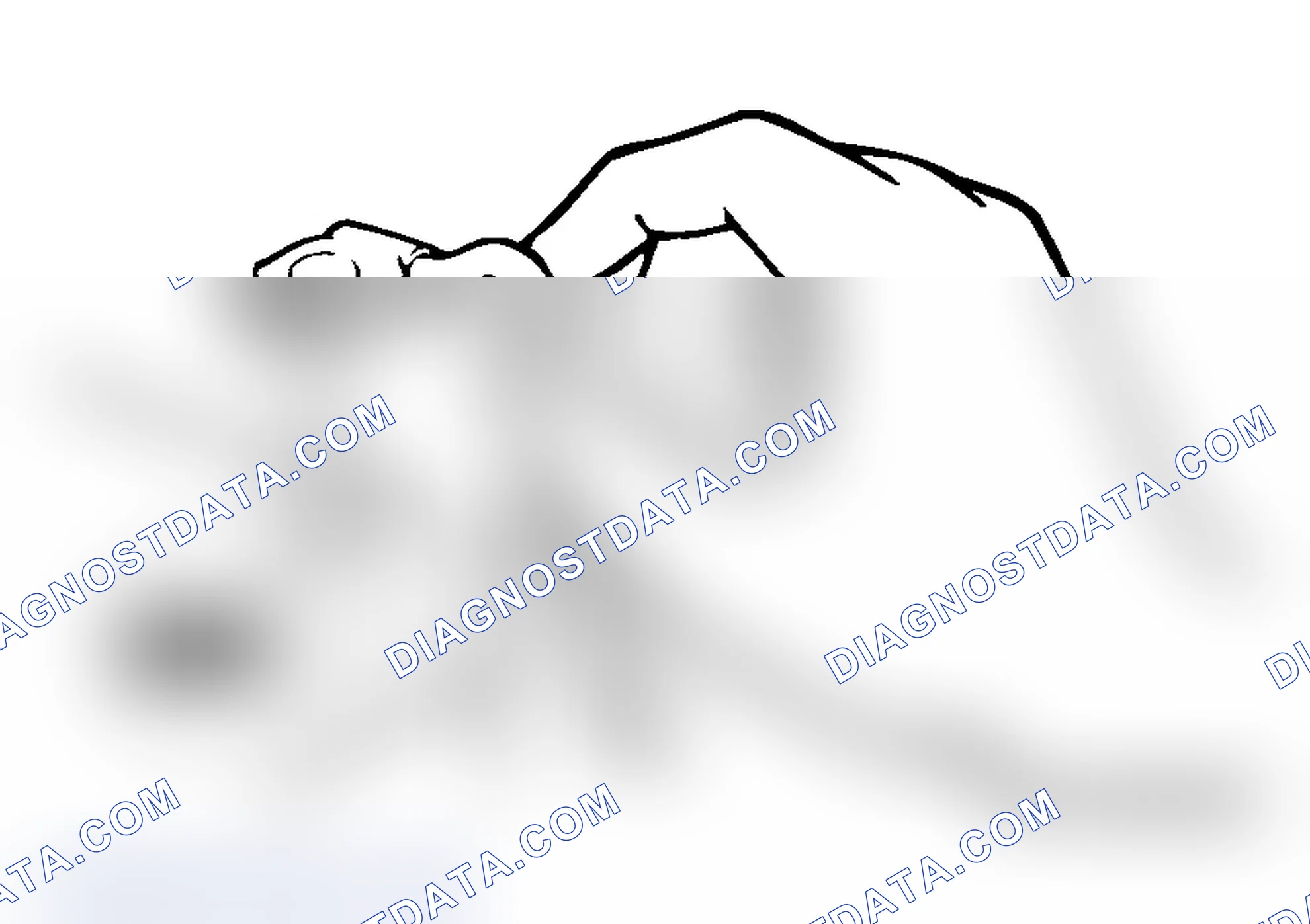 Scheme 96