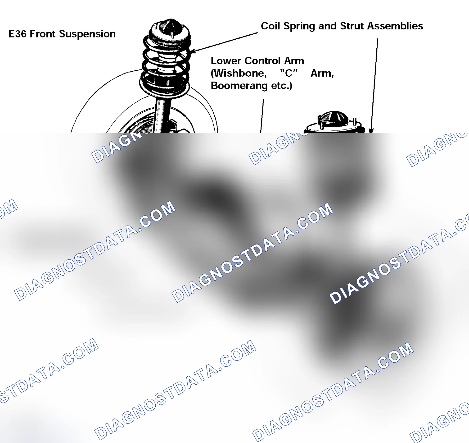 Scheme 9: Single Joint Spring Strut Axle