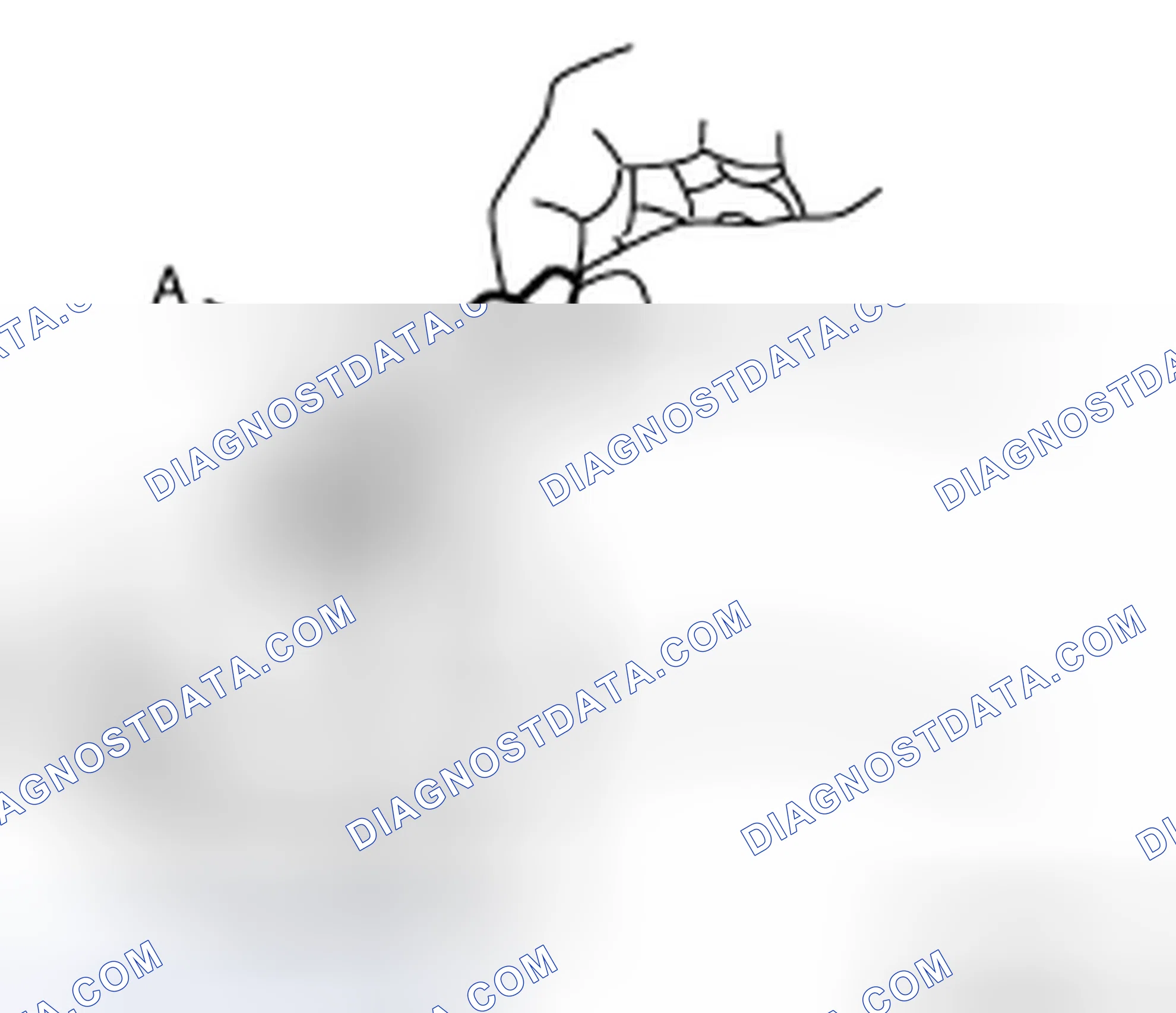 Scheme 4