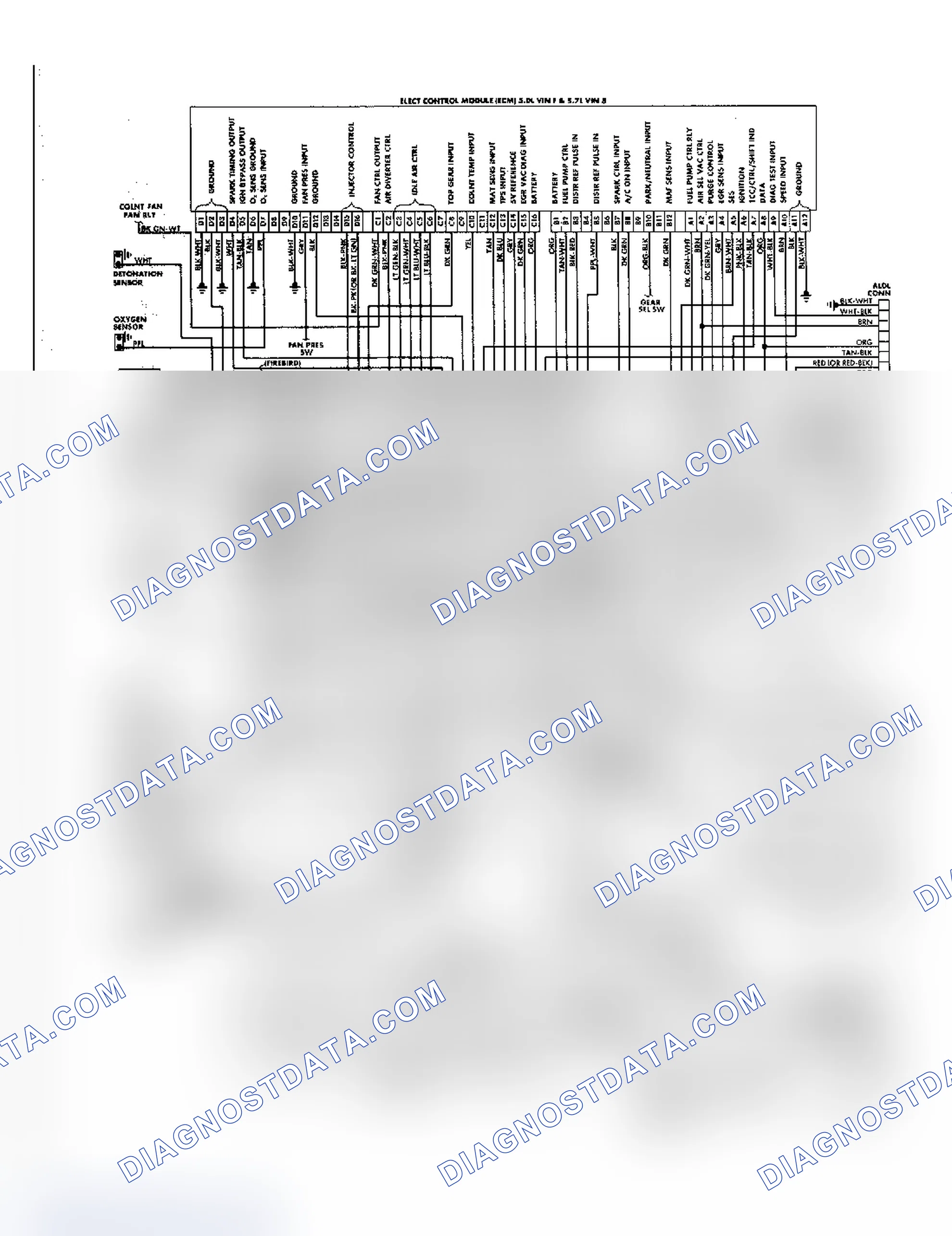 Scheme 28: Camaro & Firebird 5.0 & 5.7L Fuel Injection Wiring Diagram