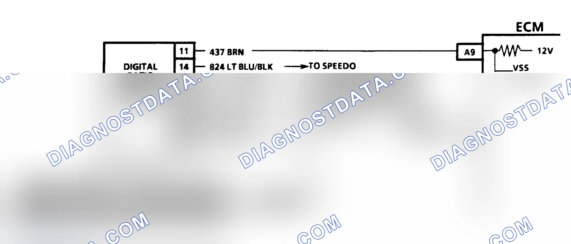 Scheme 224: CODE 24, VEHICLE SPEED SENSOR - 1991 DIESEL