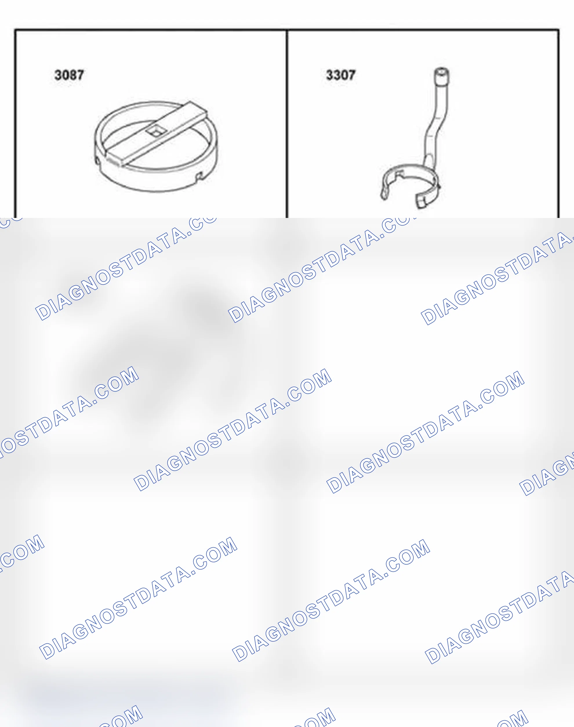Scheme 307
