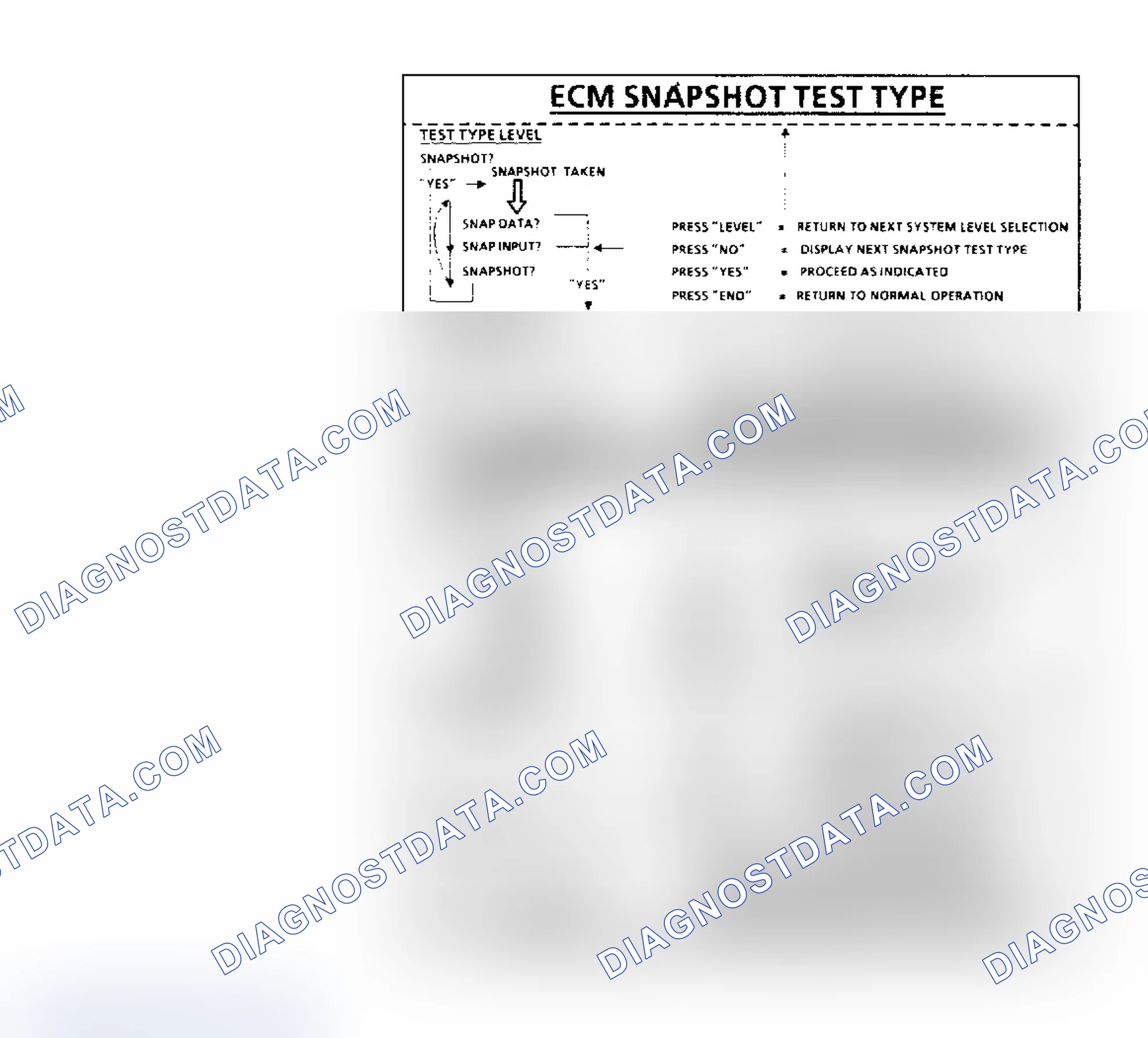 Scheme 5