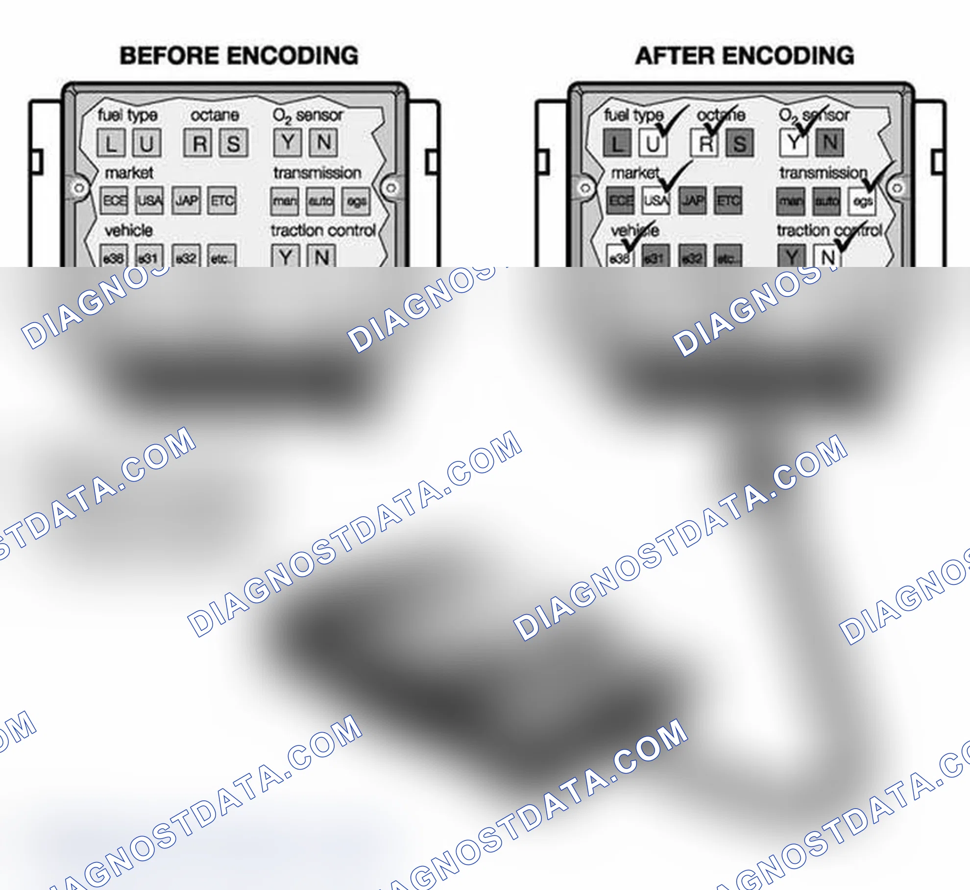 Scheme 403: Coding