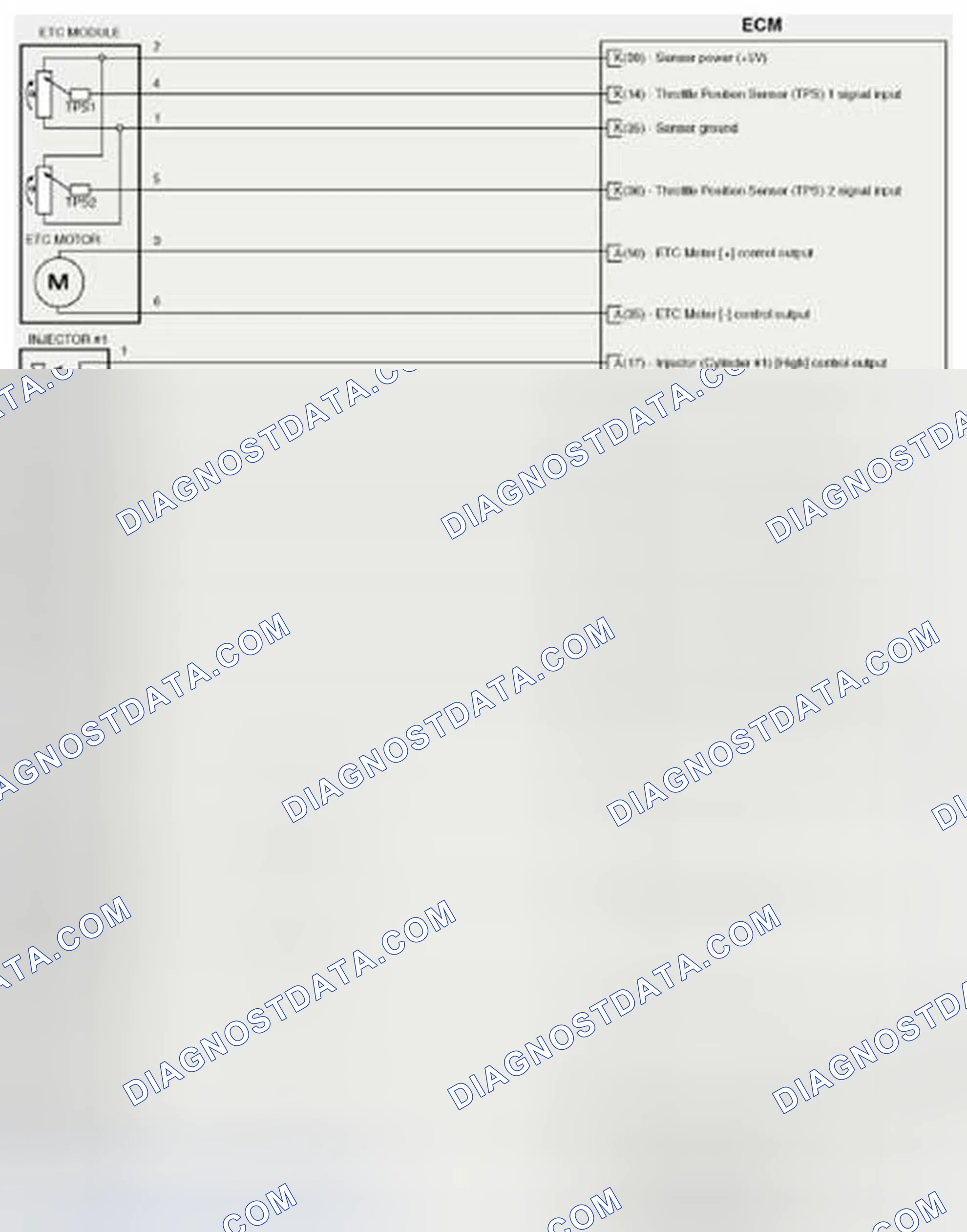 Scheme 316