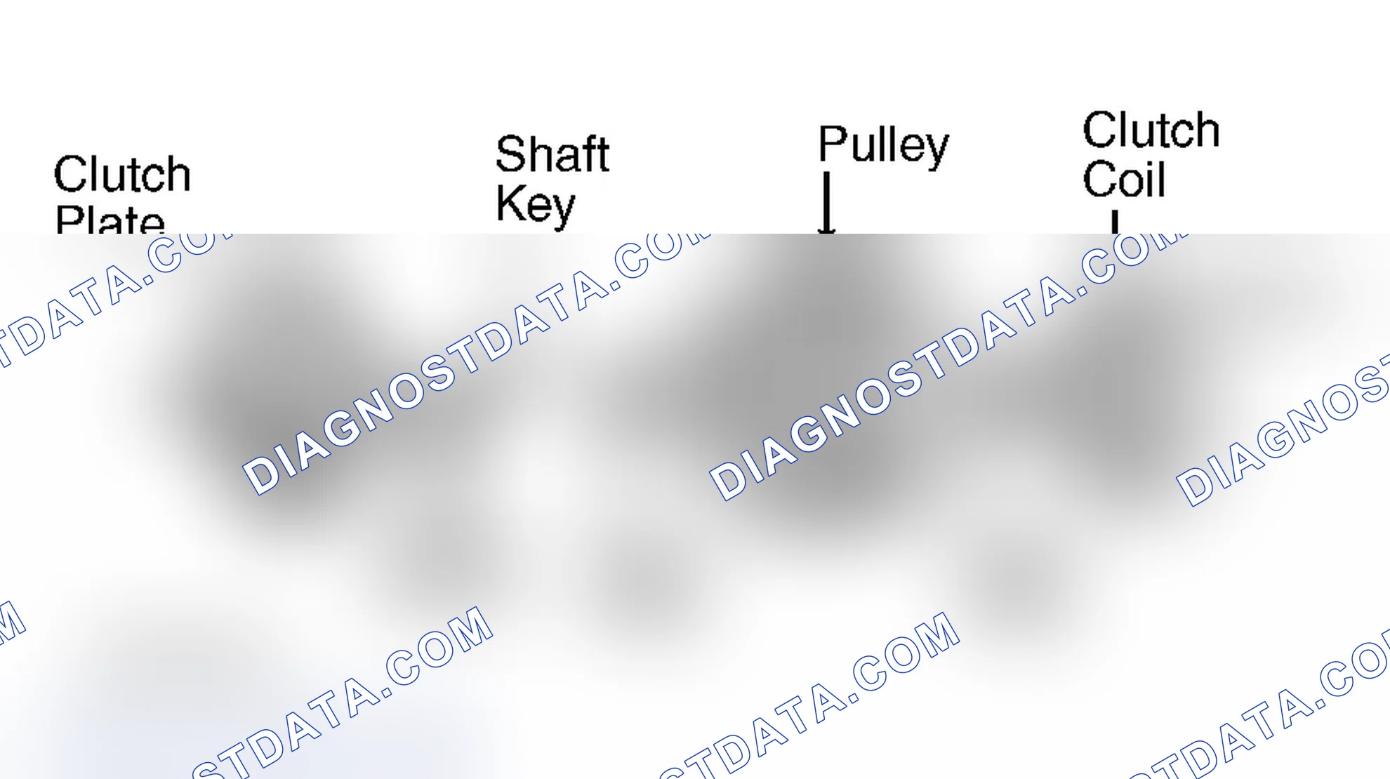 Scheme 5