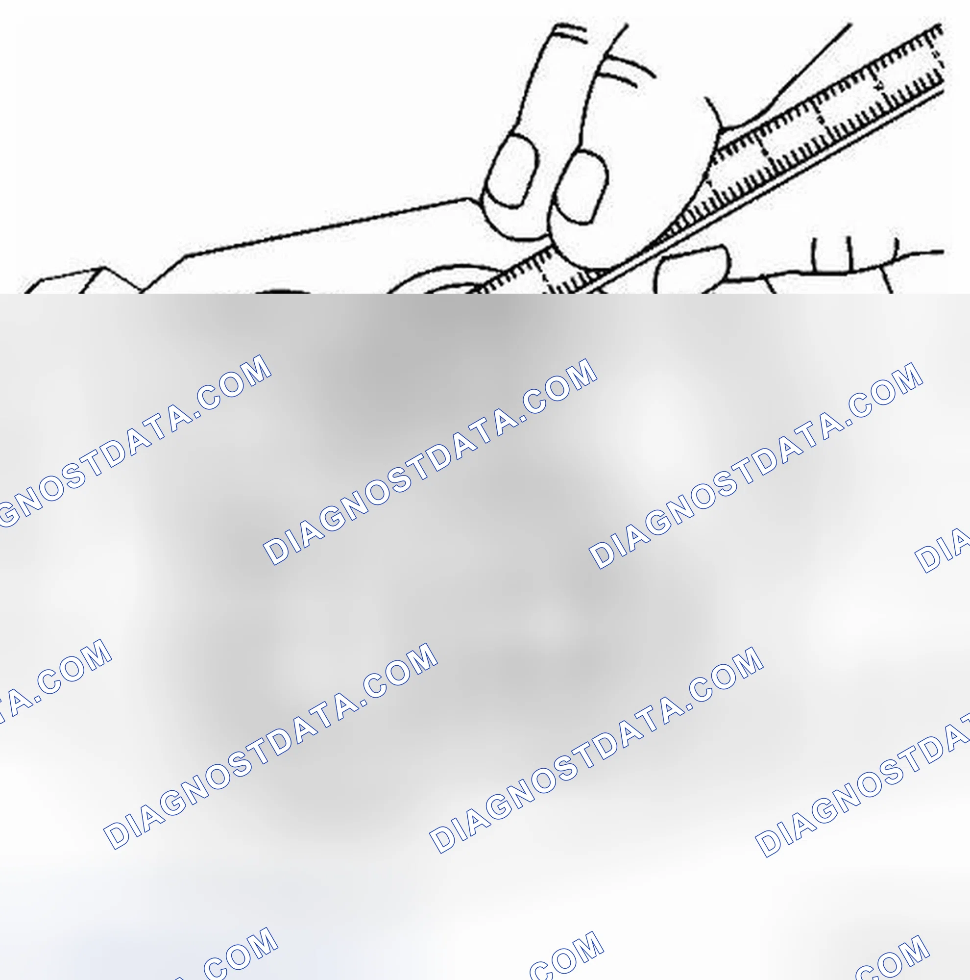 Scheme 2: Valve Seat Width Measurement Procedure