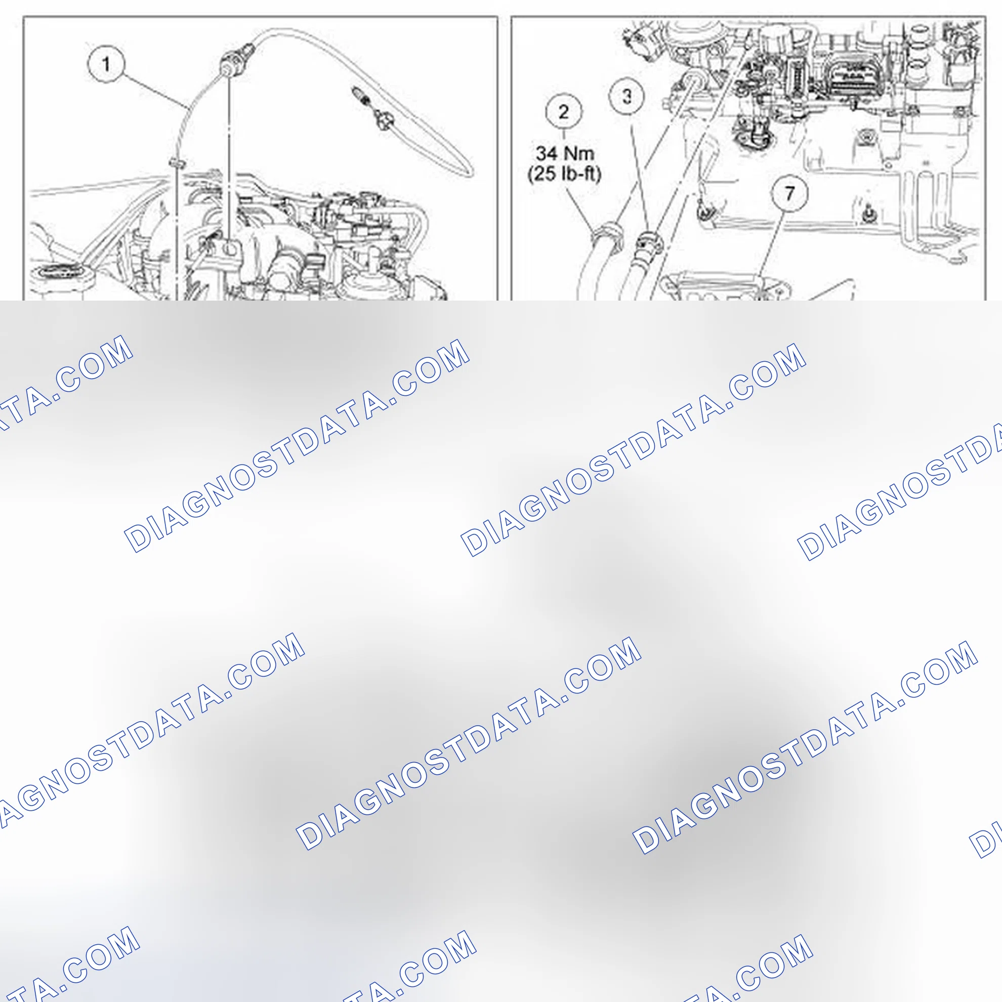 Scheme 246: Throttle Cable, Evaporative Emission (EVAP) and EGR Components