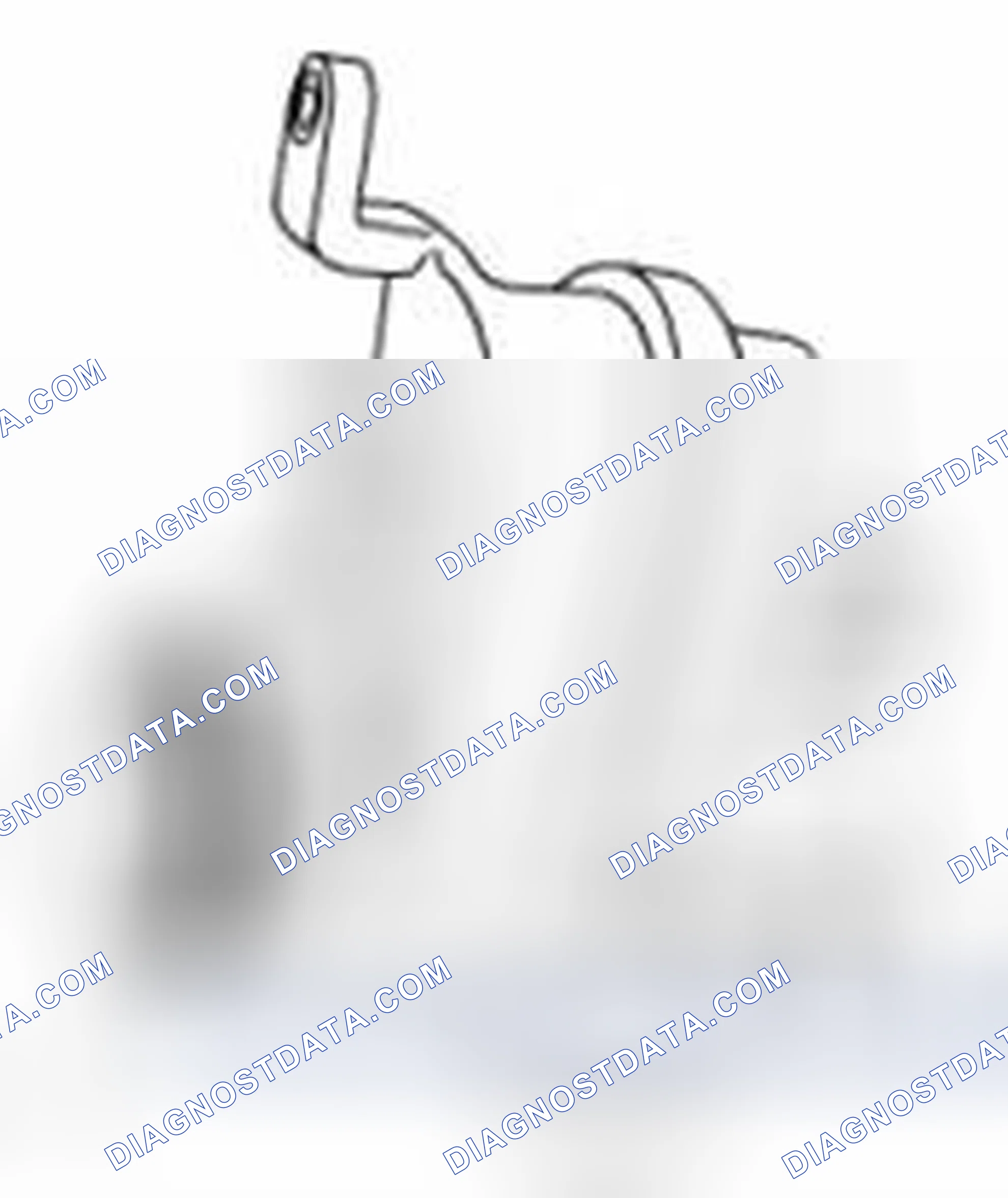 Scheme 53: EVAP Leak Check Module Visual Check