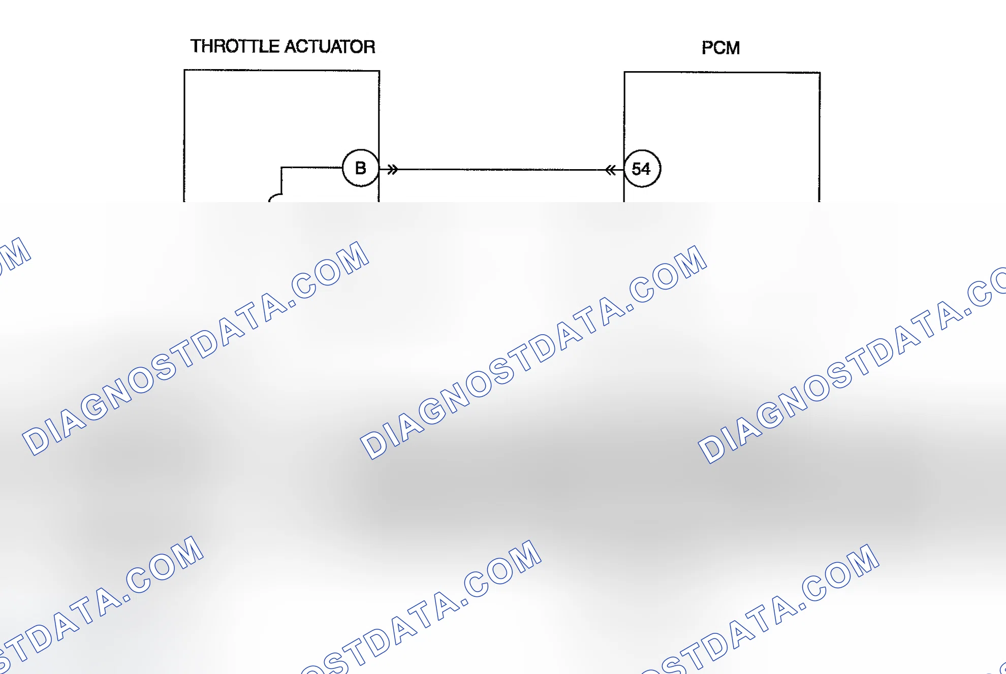 Scheme 84: Diagnostic Procedure