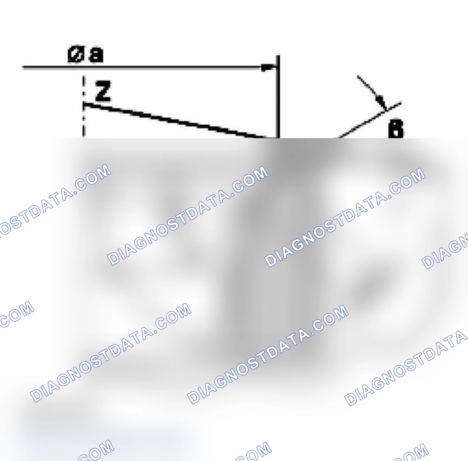 Scheme 323