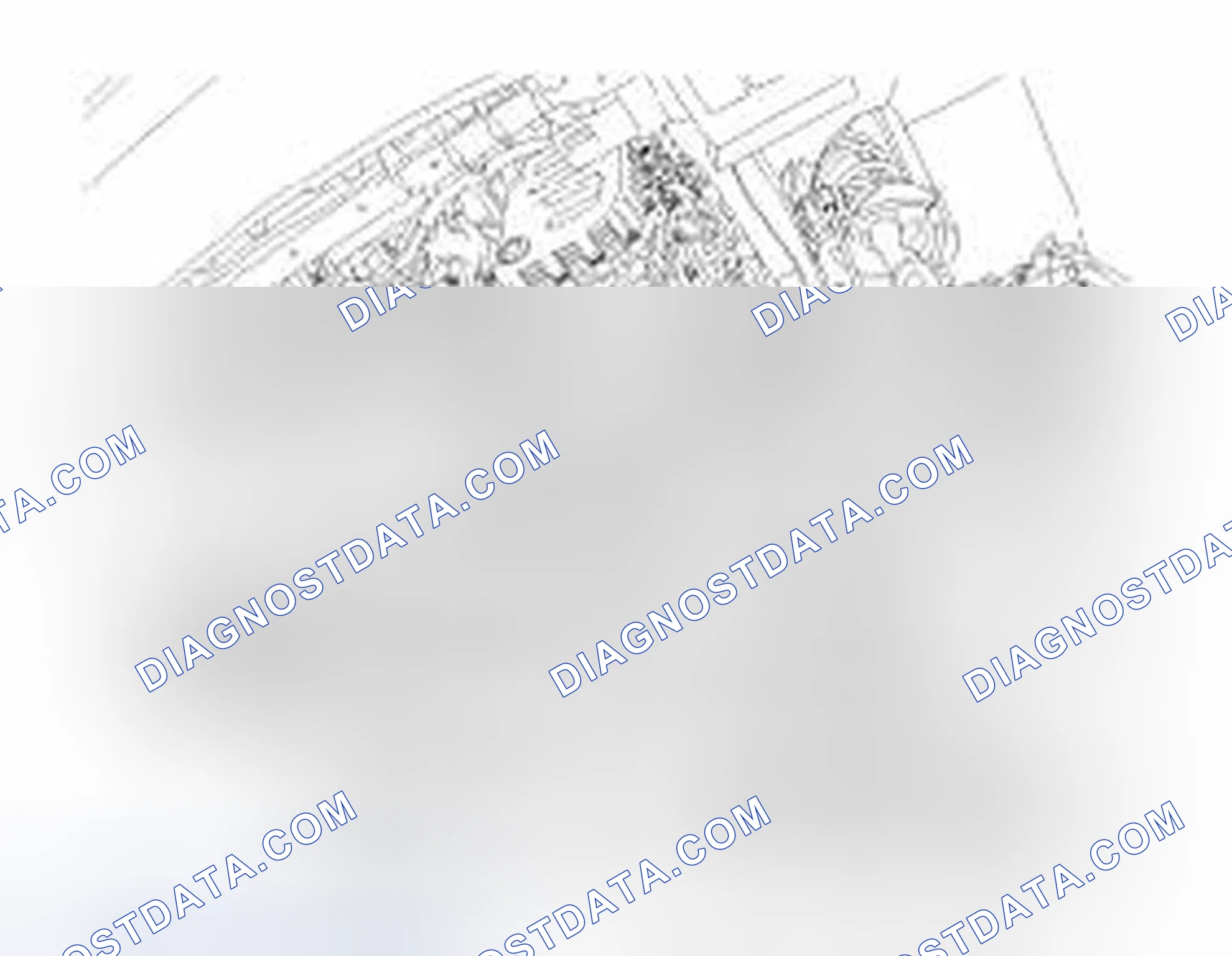 Scheme 247