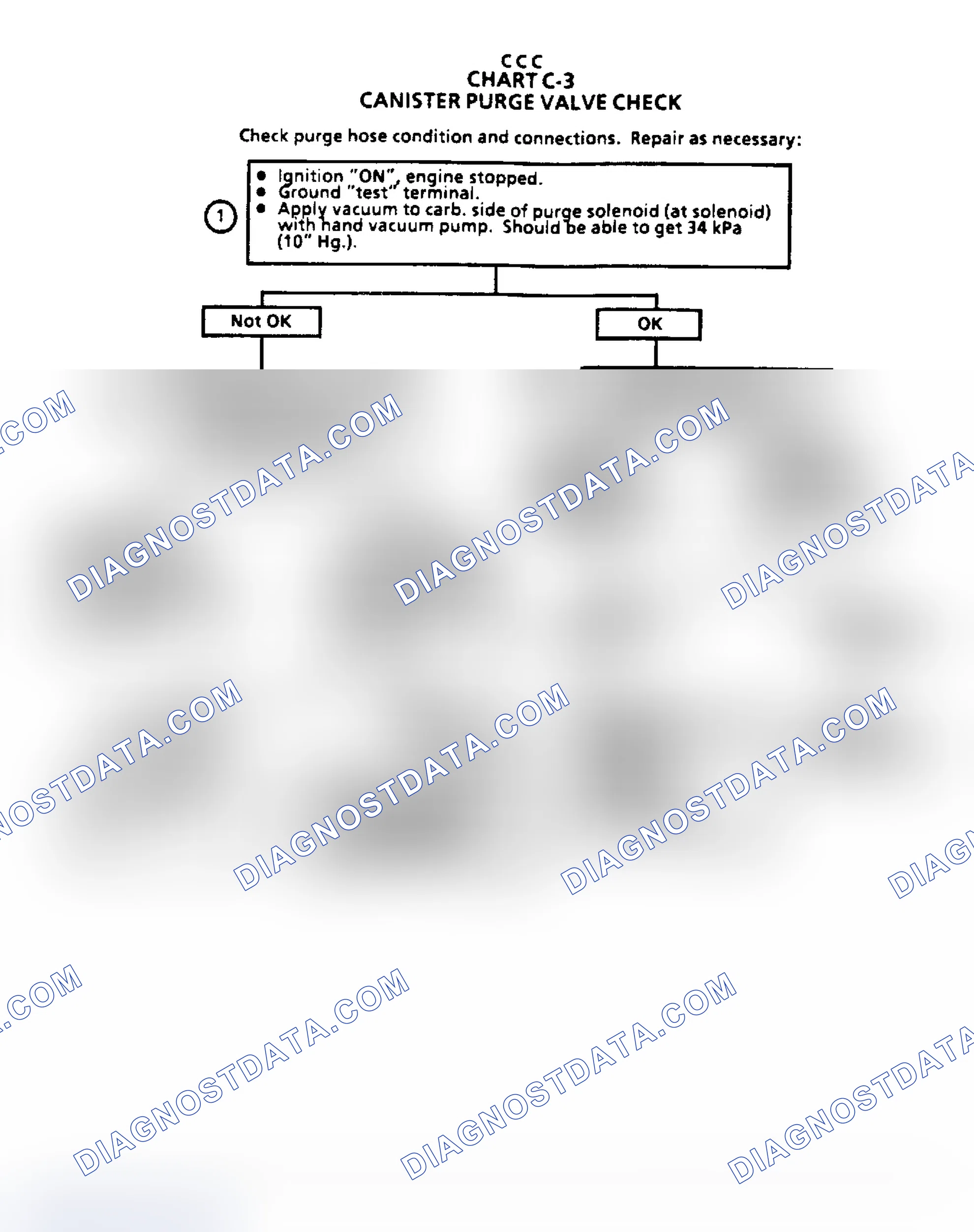 Scheme 161: Flow Chart C3 - Canister Purge Valve Check