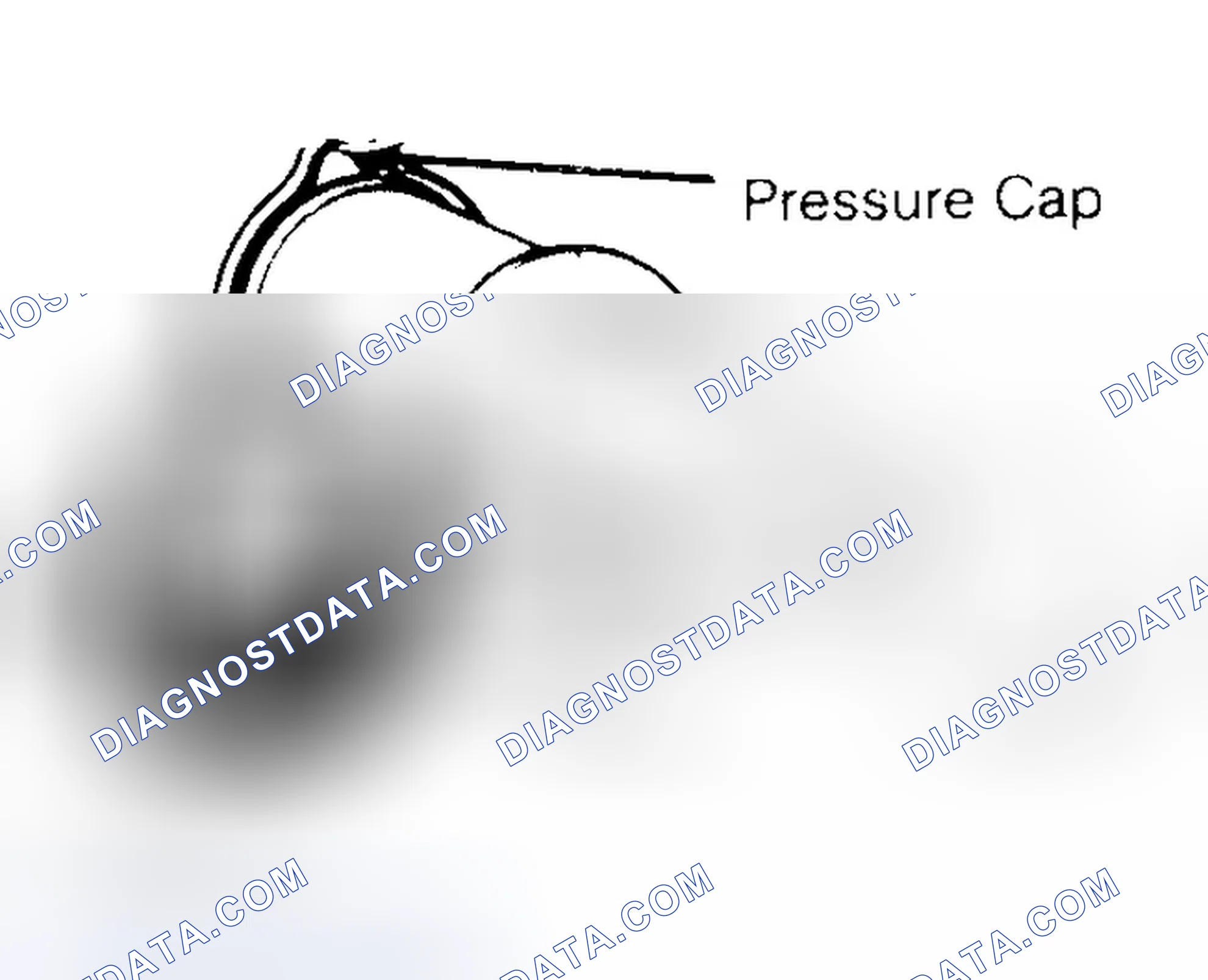 Scheme 2: Pressure Testing Radiator Cap