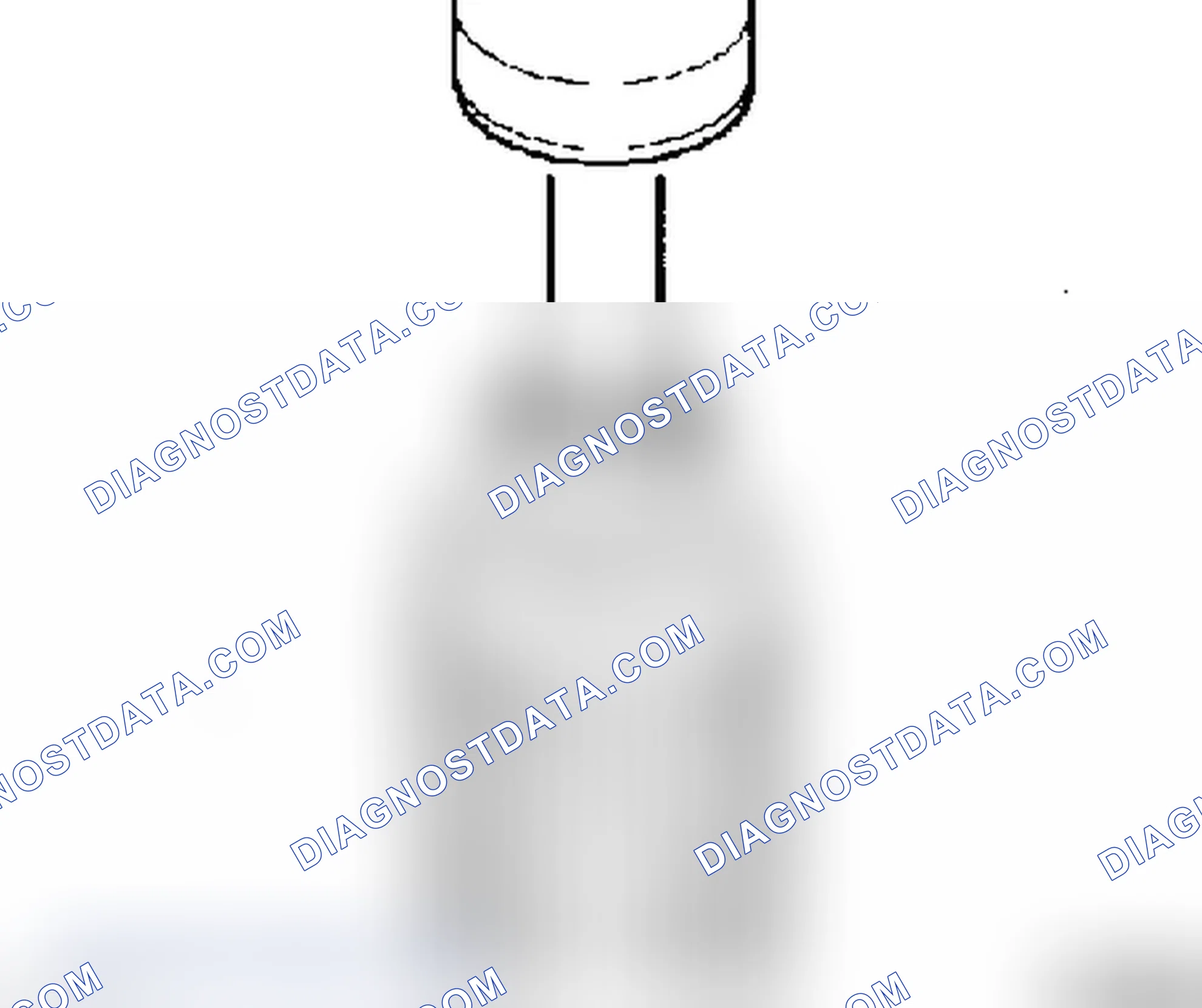 How to Assemble the Starter