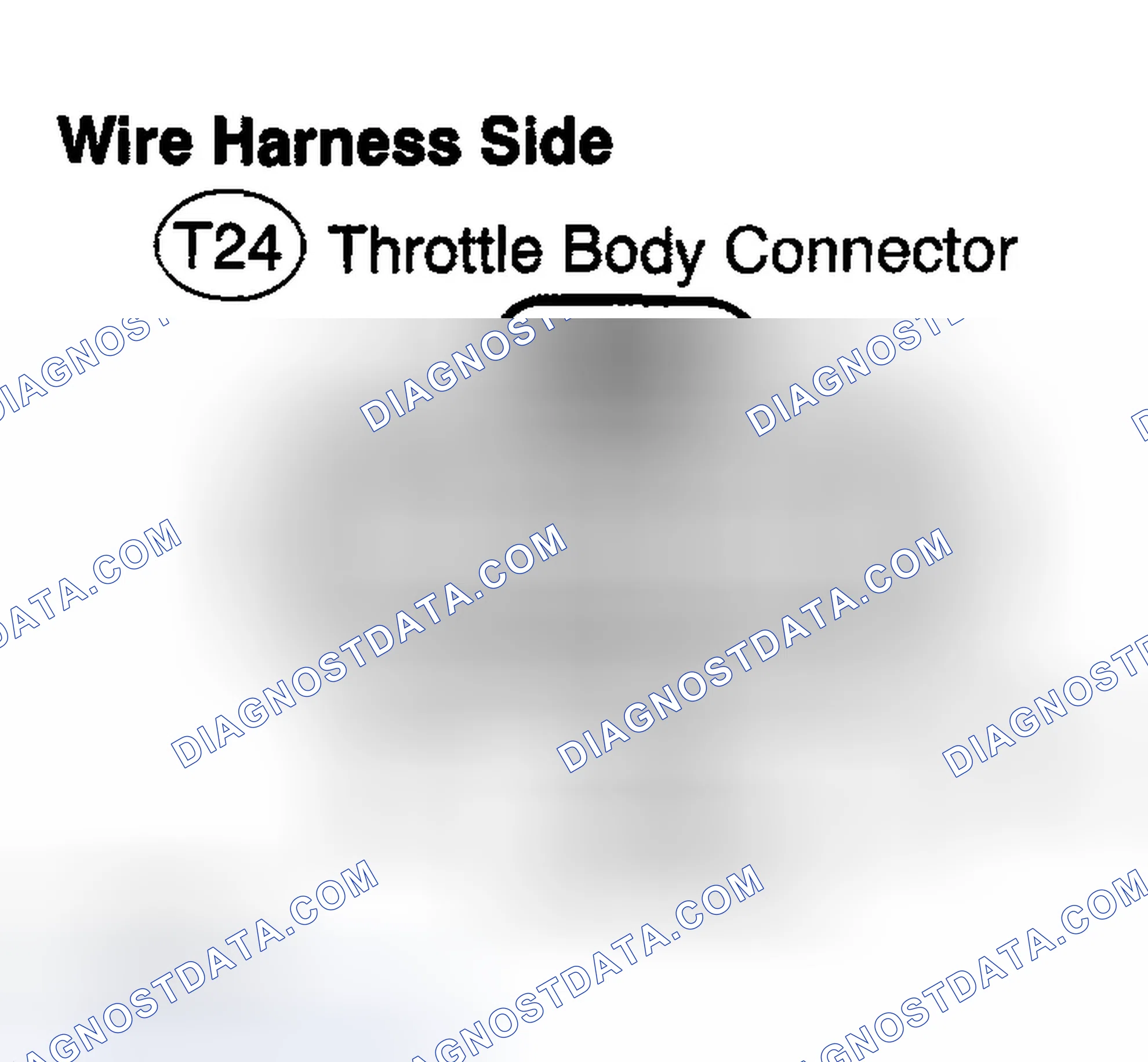 Scheme 174