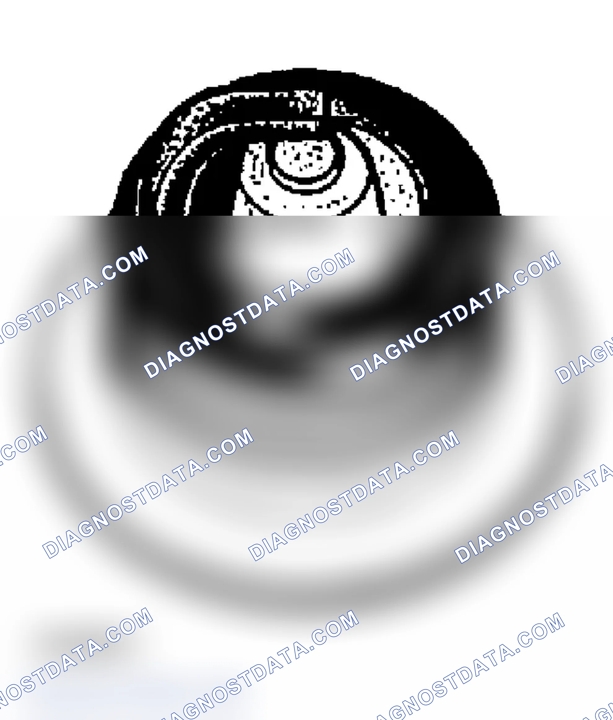 Scheme 37: CARBON FOULED