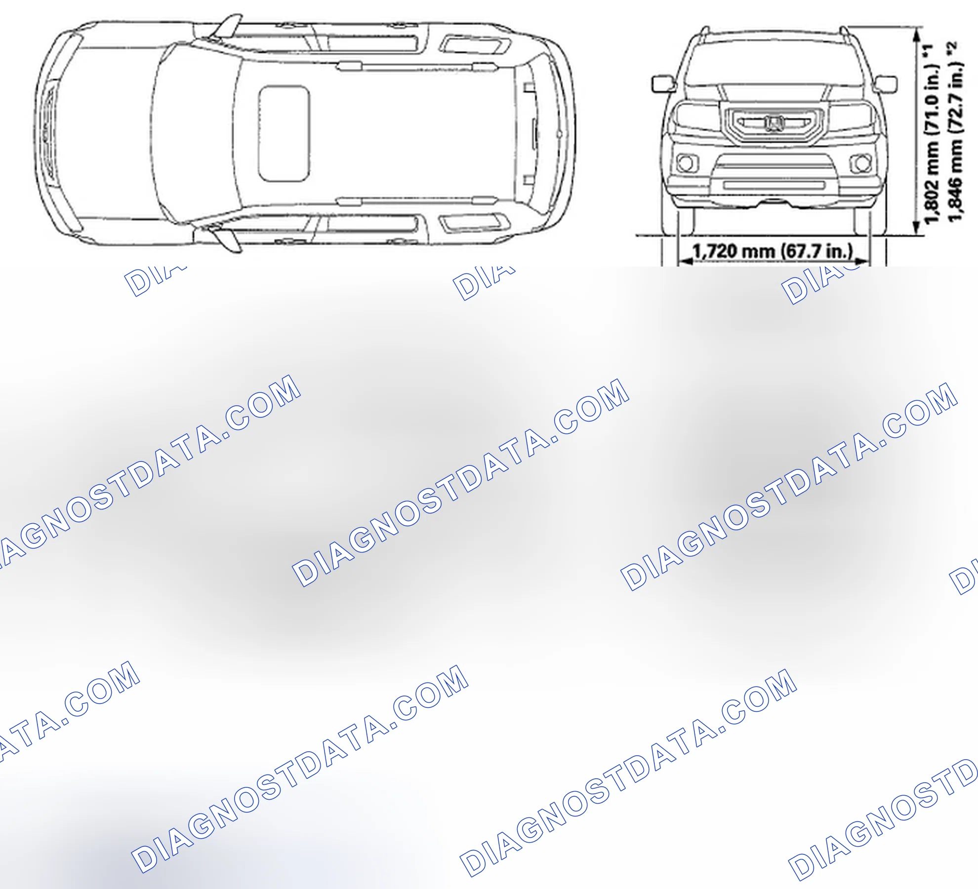 Scheme 1: Body Specifications