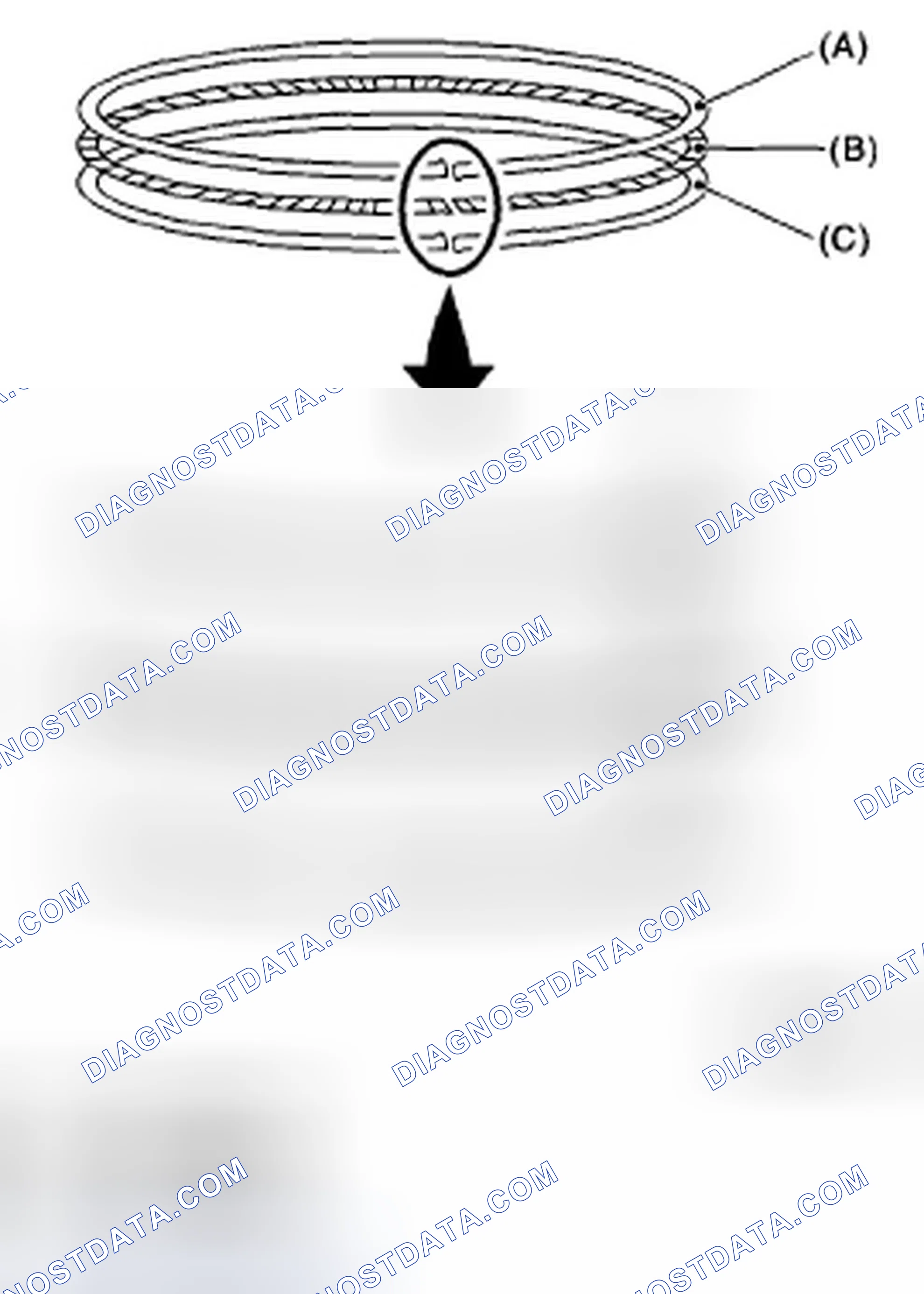 Scheme 216: PISTON RING