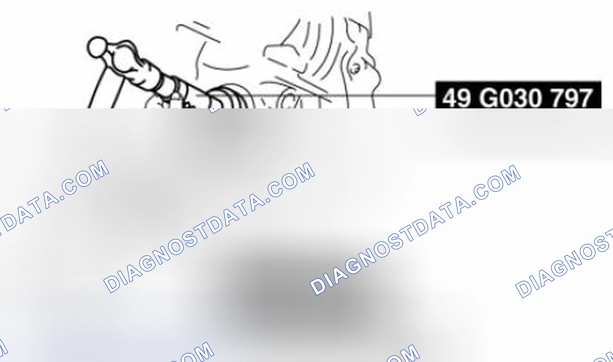 Scheme 427: OIL SEAL (DIFFERENTIAL) REPLACEMENT [FW6A-EL]