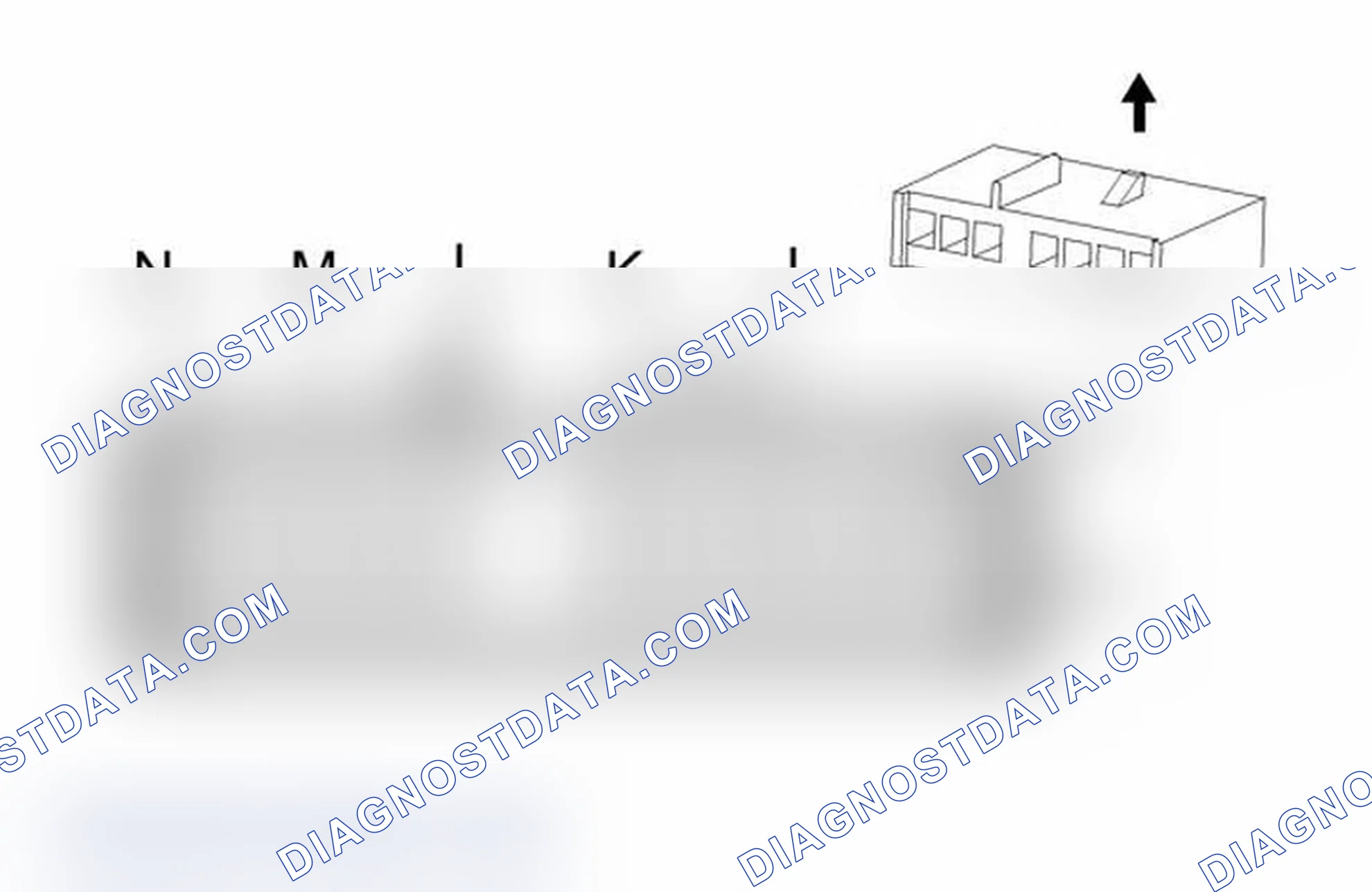 Scheme 59: Turn Signal/Multifunction Switch - C3