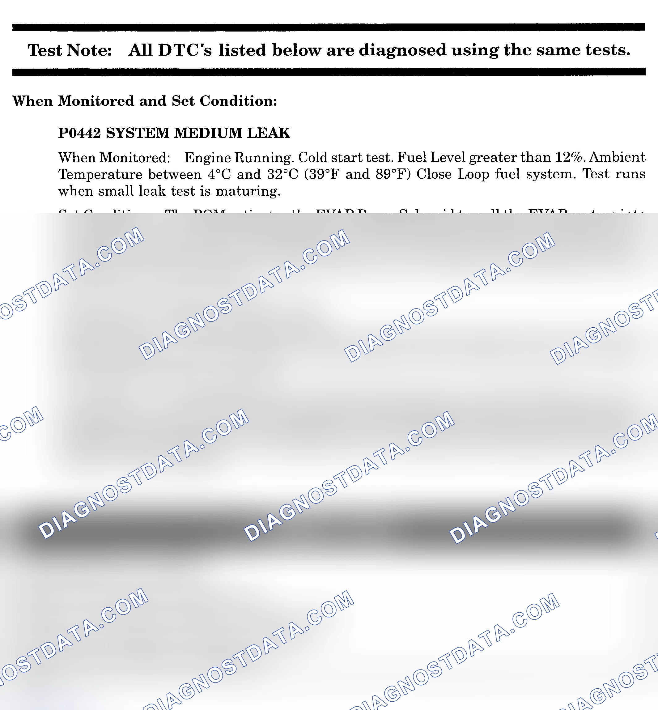 Scheme 539: DTC P0442: SYSTEM MEDIUM LEAK