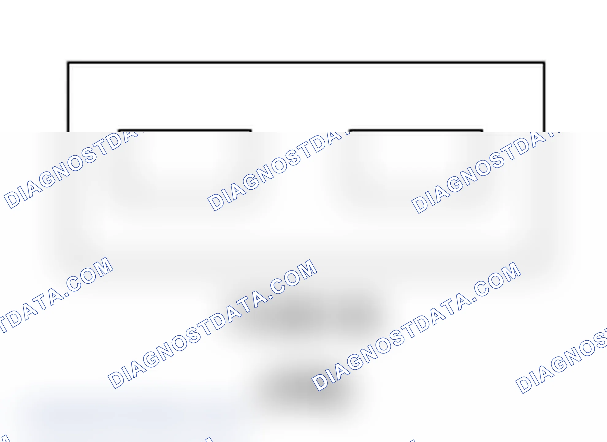 Scheme 19: Diagnostic Test