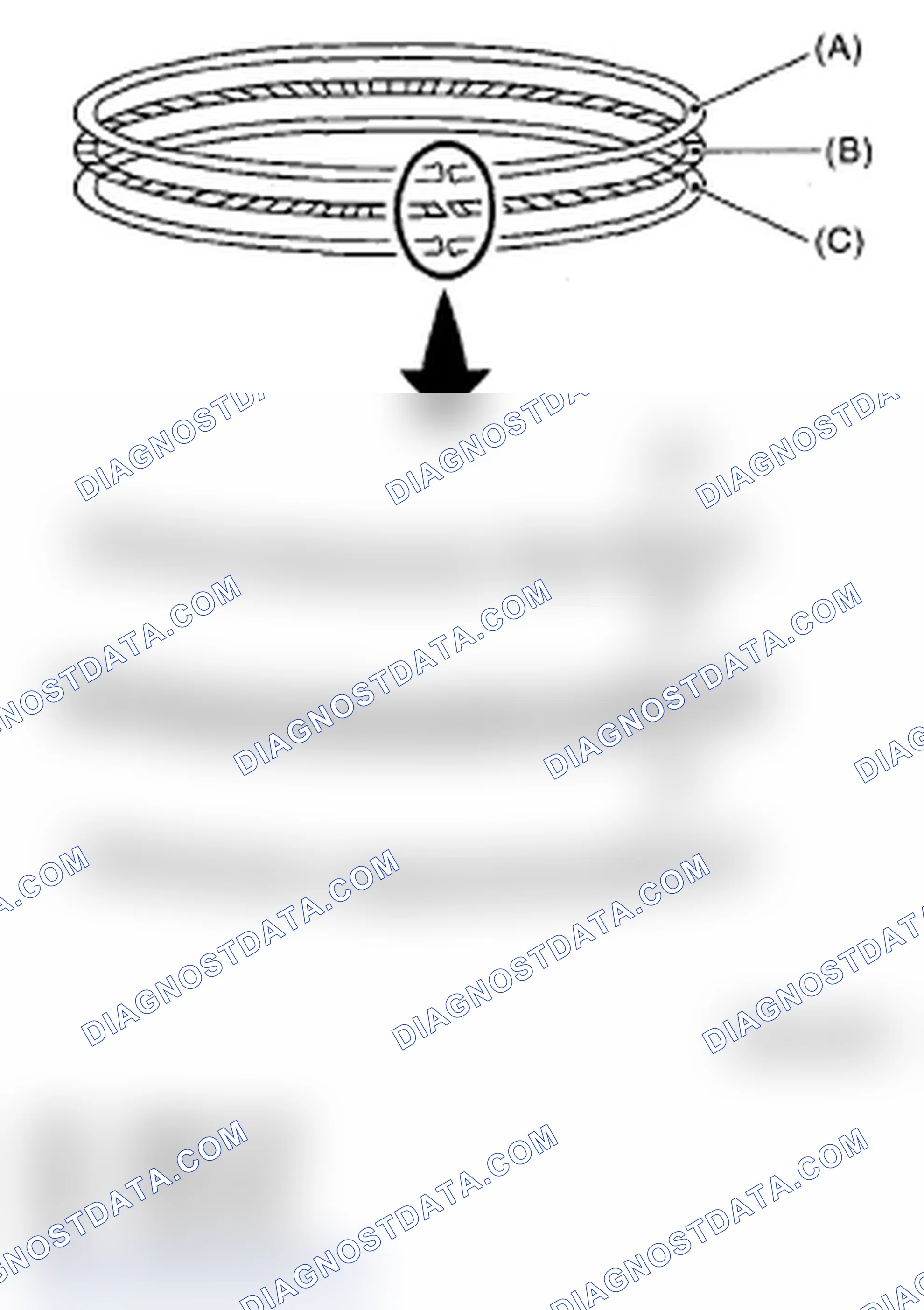 Scheme 457: PISTON RING