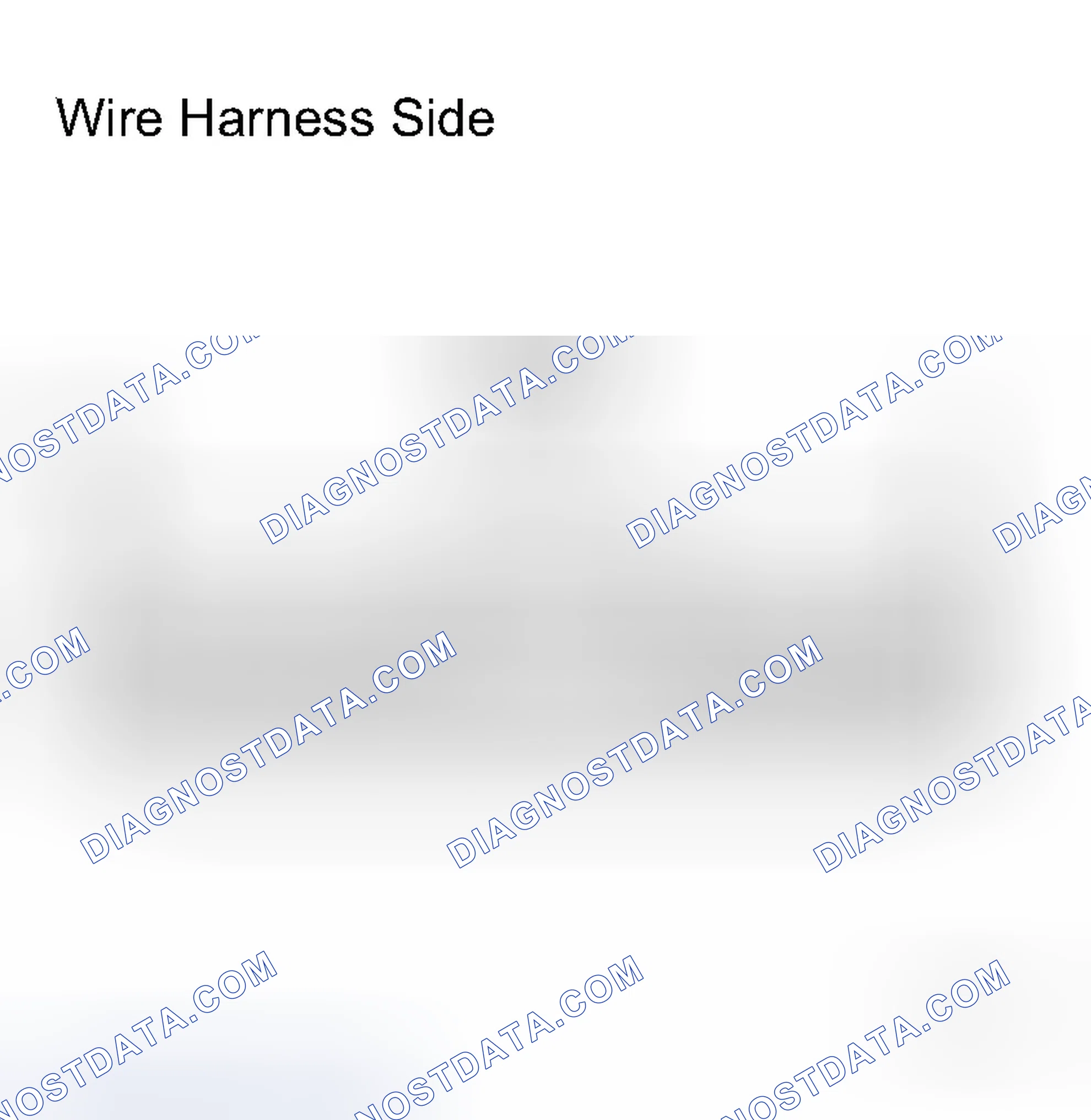 Scheme 85: INSPECTION PROCEDURE