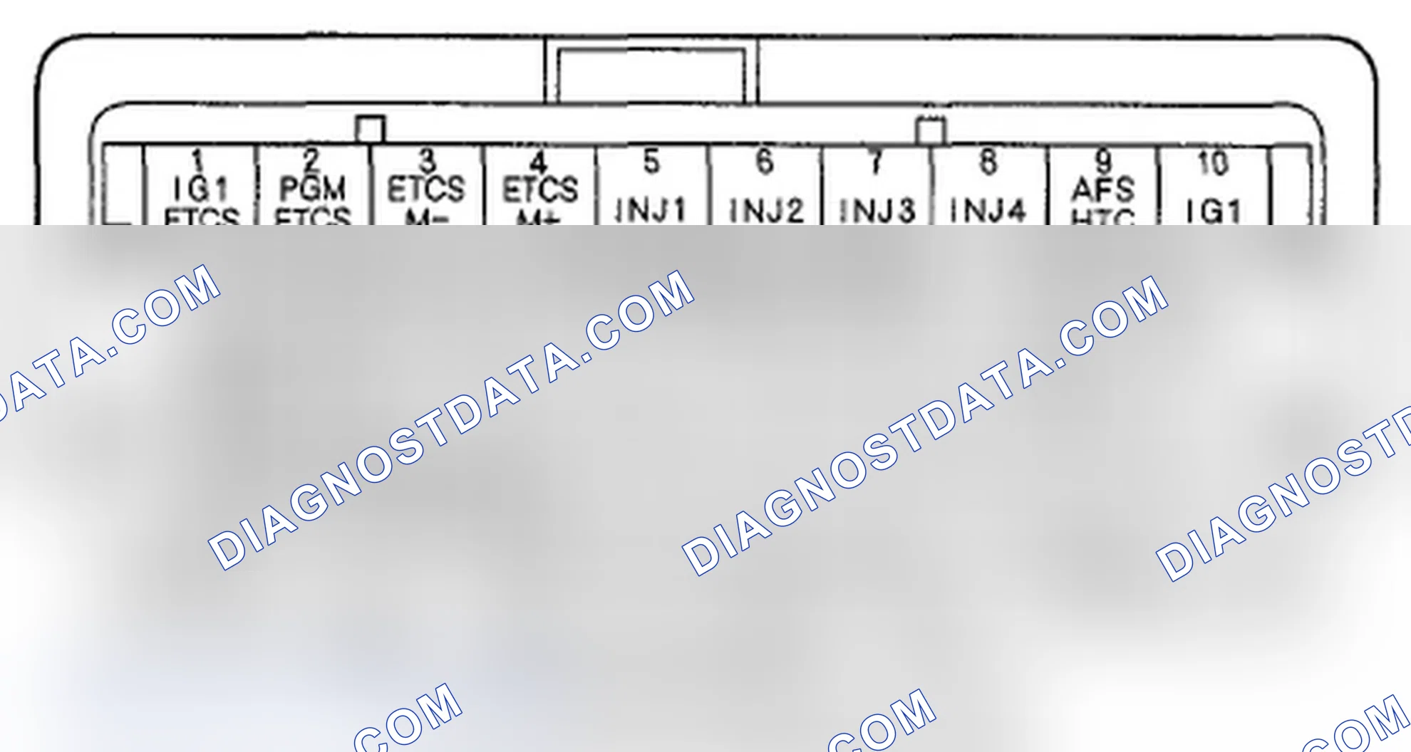Scheme 303