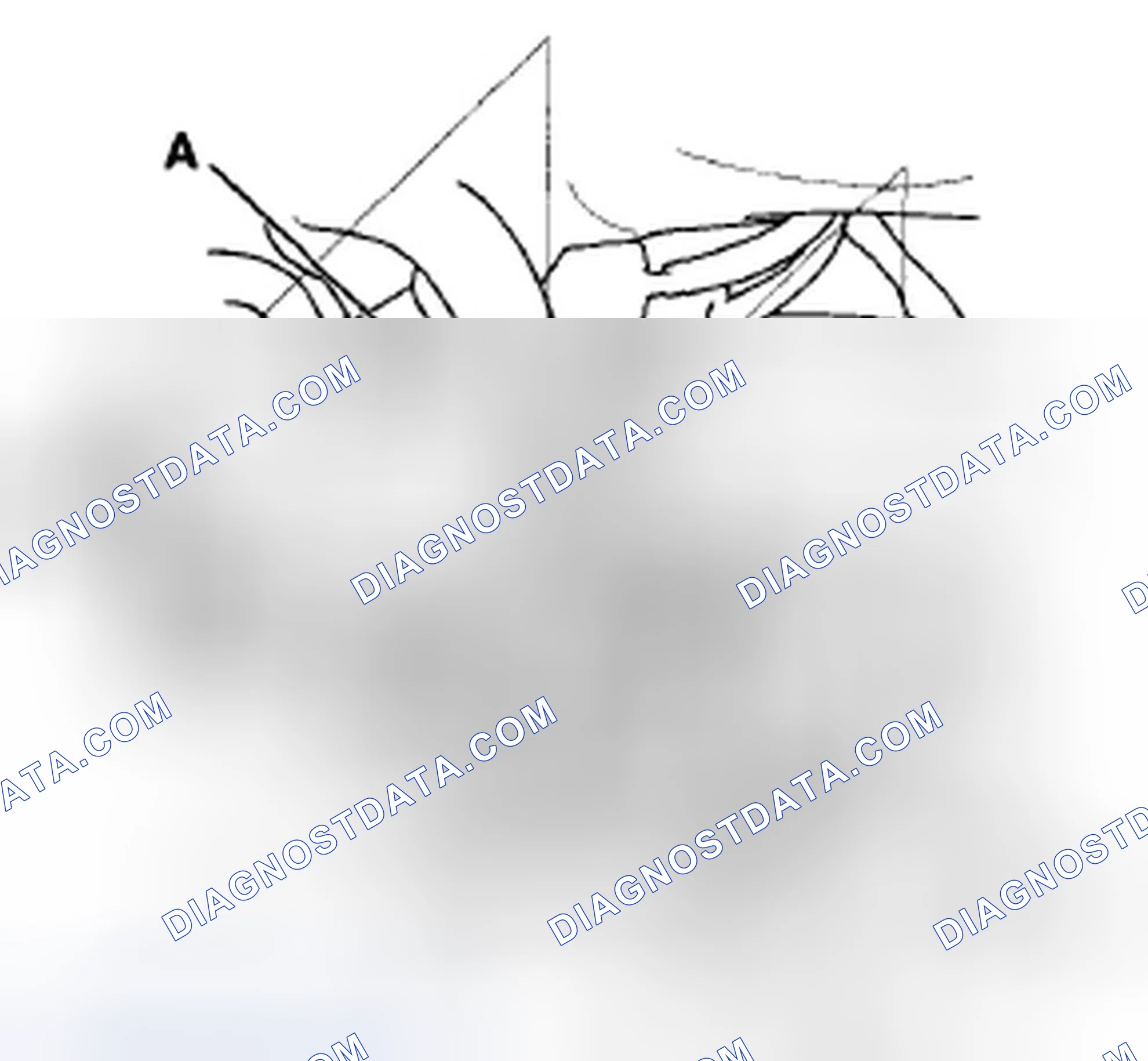 Scheme 596: Fuel Line/Quick-Connect Fitting Precautions