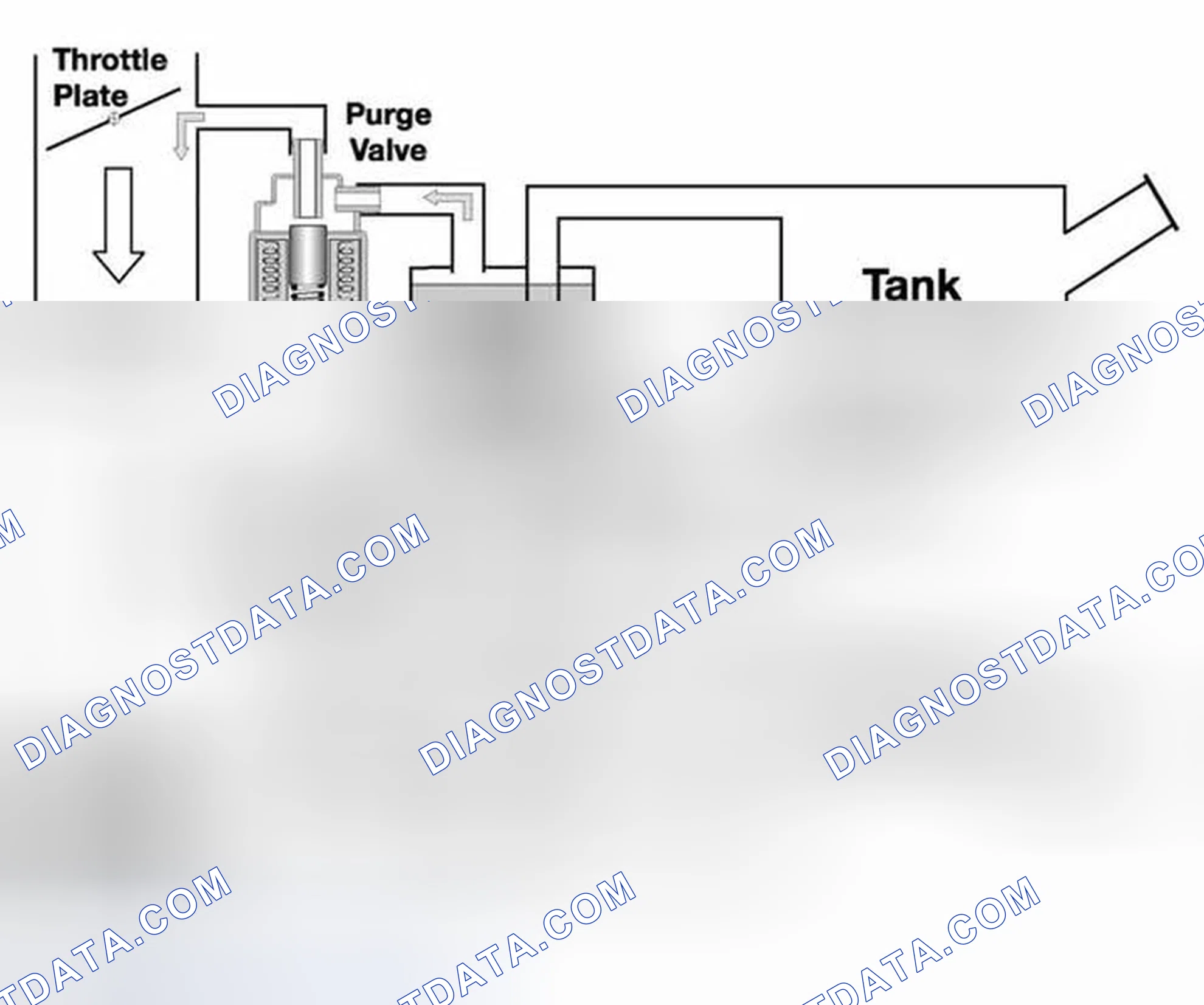 Scheme 1295: Function