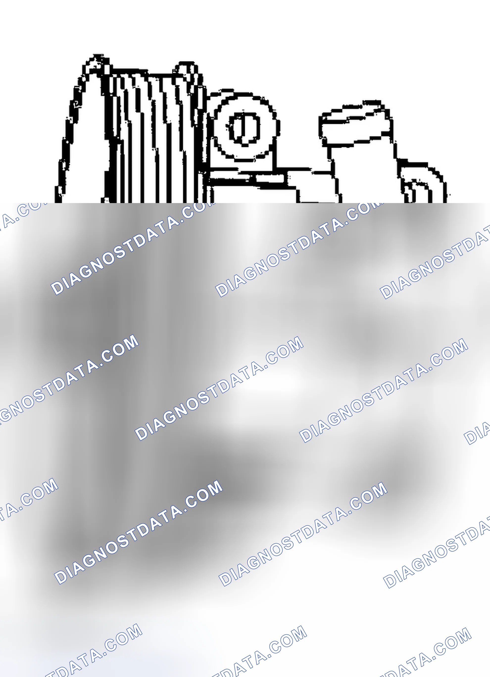 Scheme 22: Power Steering Pump