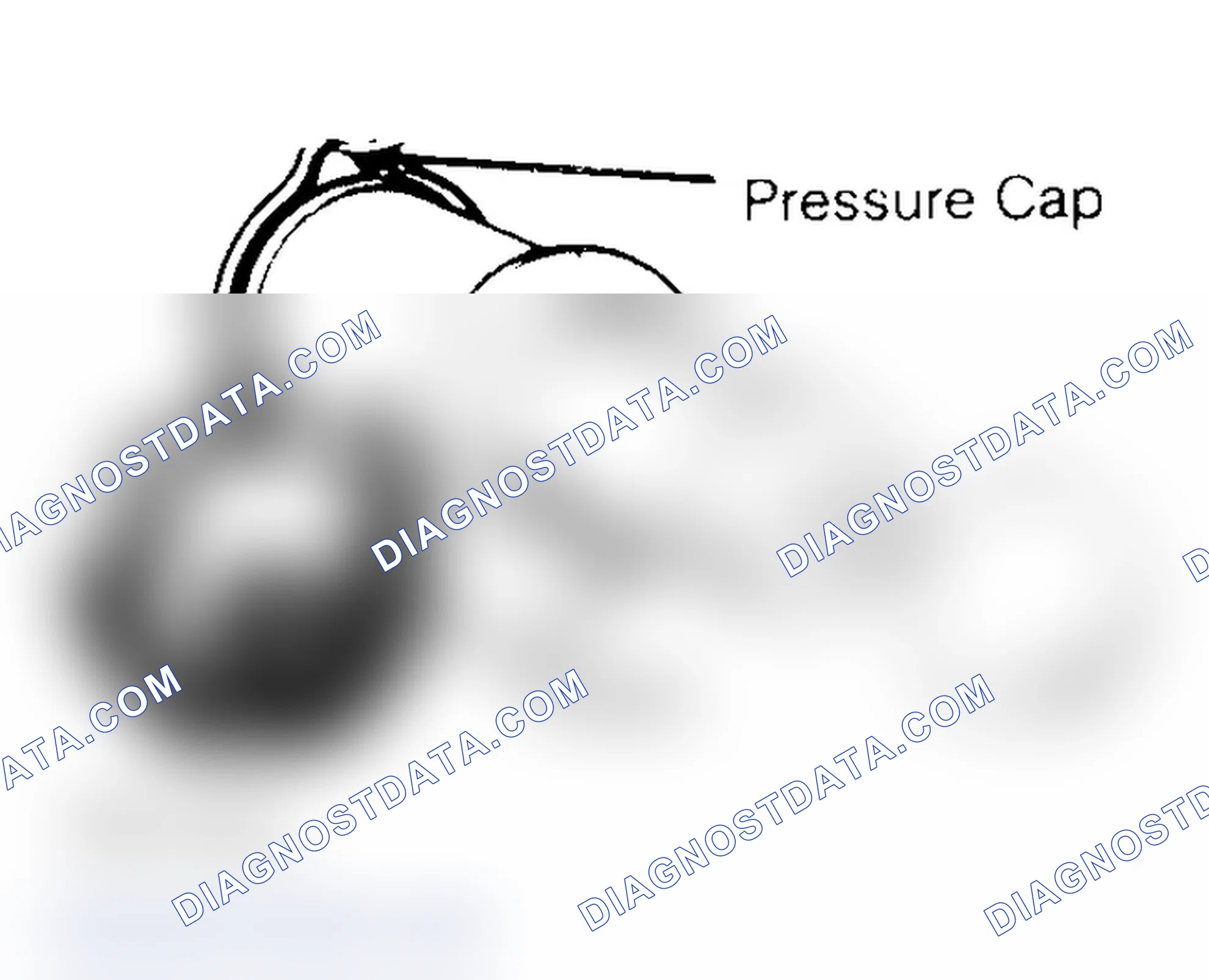 Scheme 2: Pressure Testing Radiator Cap