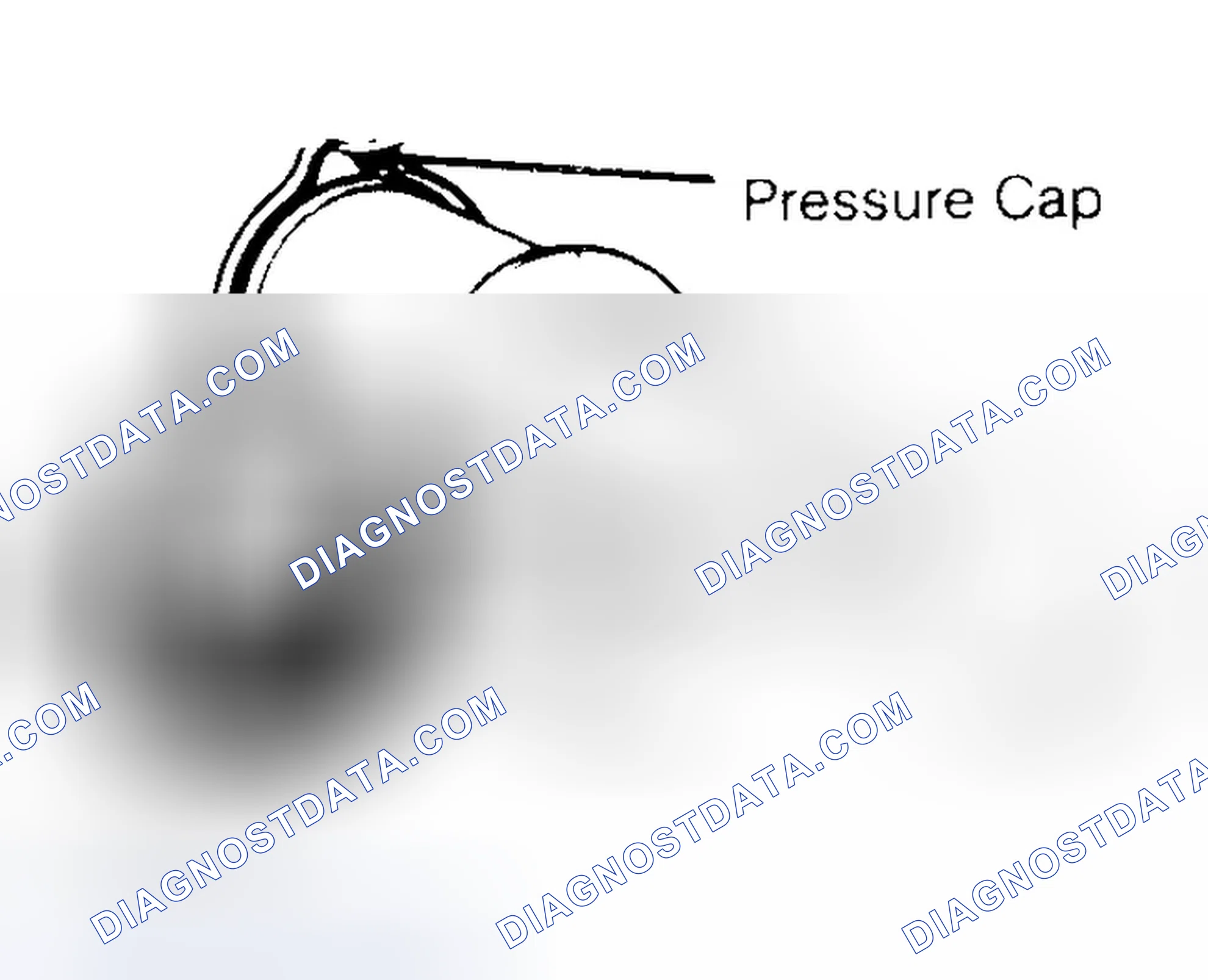 Scheme 2: Pressure Testing Radiator Cap