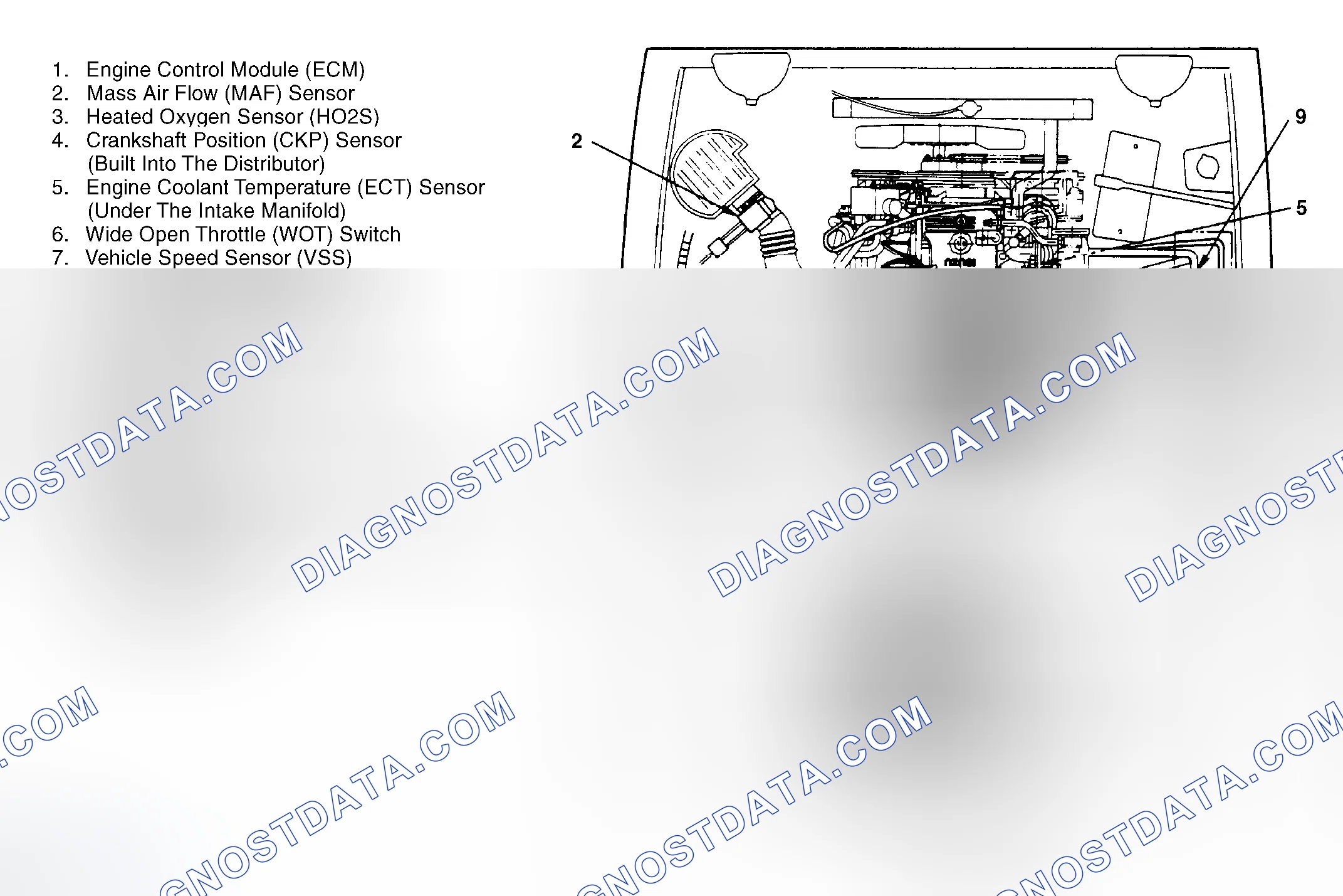 Scheme 1: Engine Compartment (2.6L 1995)