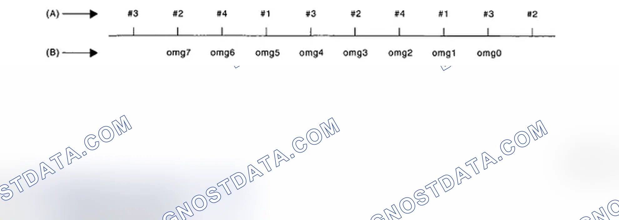 Scheme 145: Ignition Order And Crankshaft Position Speed Reference Steps