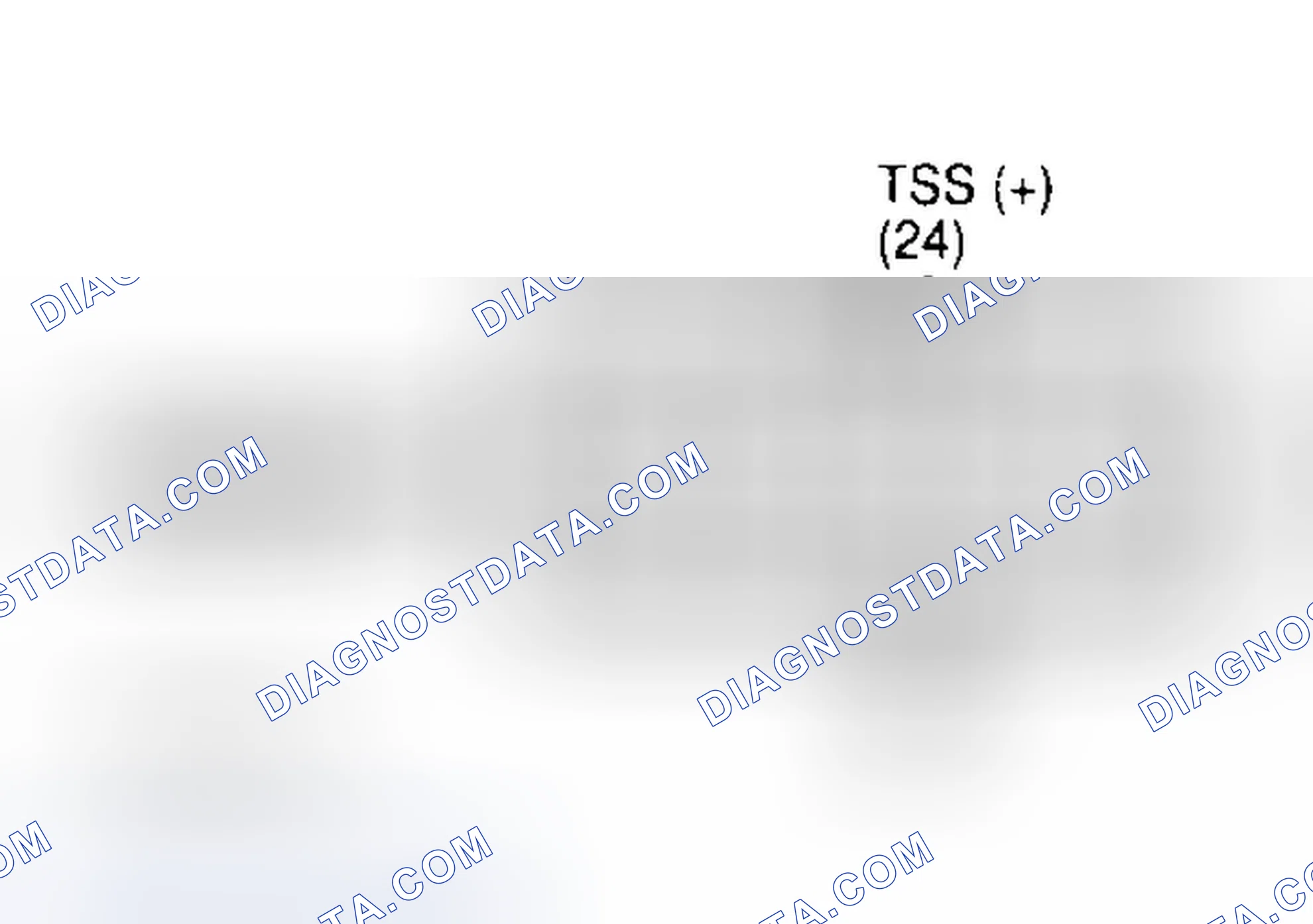Scheme 116